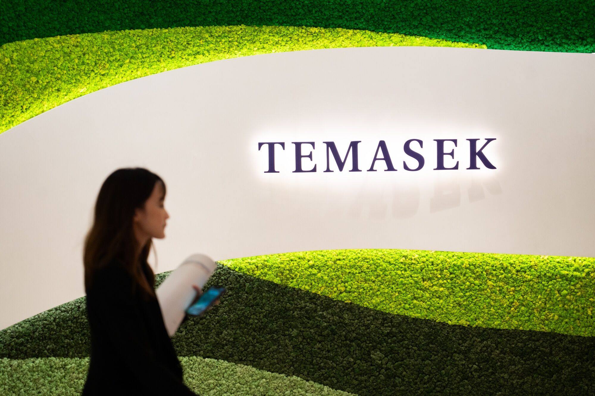 Temasek is now the 11th largest sovereign wealth fund in the world. Photo: Bloomberg