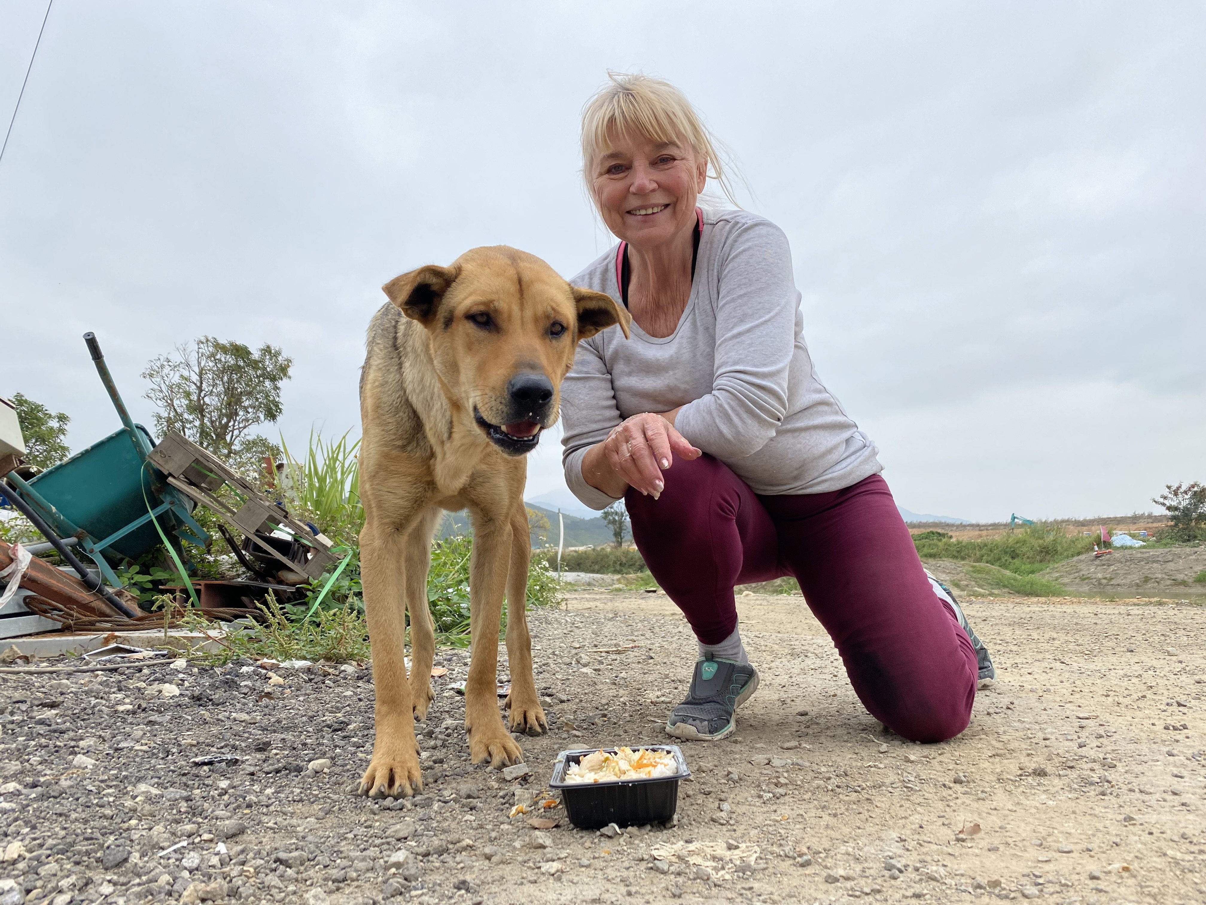 Sai Kung Stray Friends Foundation founder Narelle Pamuk with a stray dog in Hong Kong. Photo: SKSFF