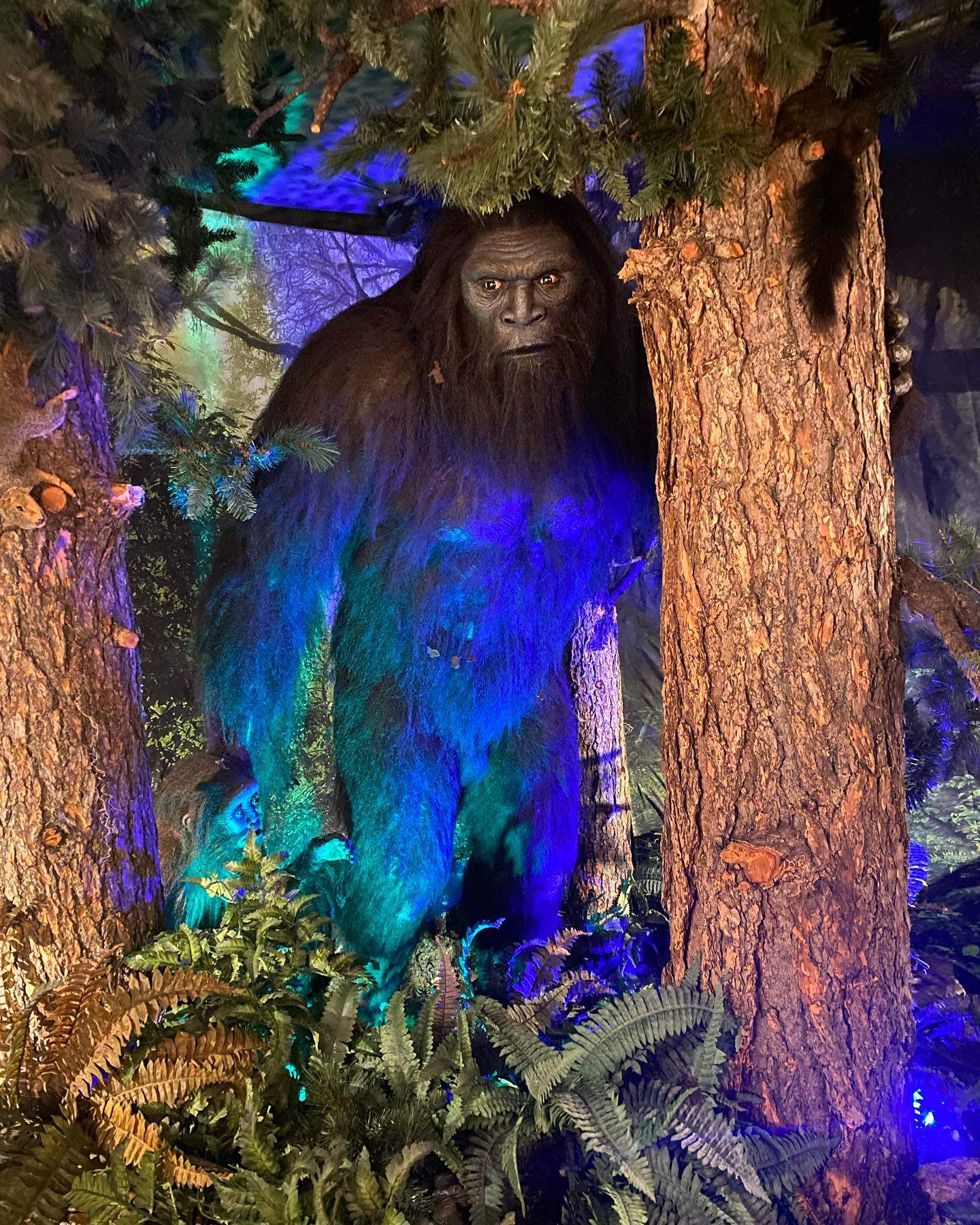 A model of Bigfoot at Sasquatch Outpost shop and museum, in Bailey, Colorado. Photo: Instagram / @thesasquatchoutpost