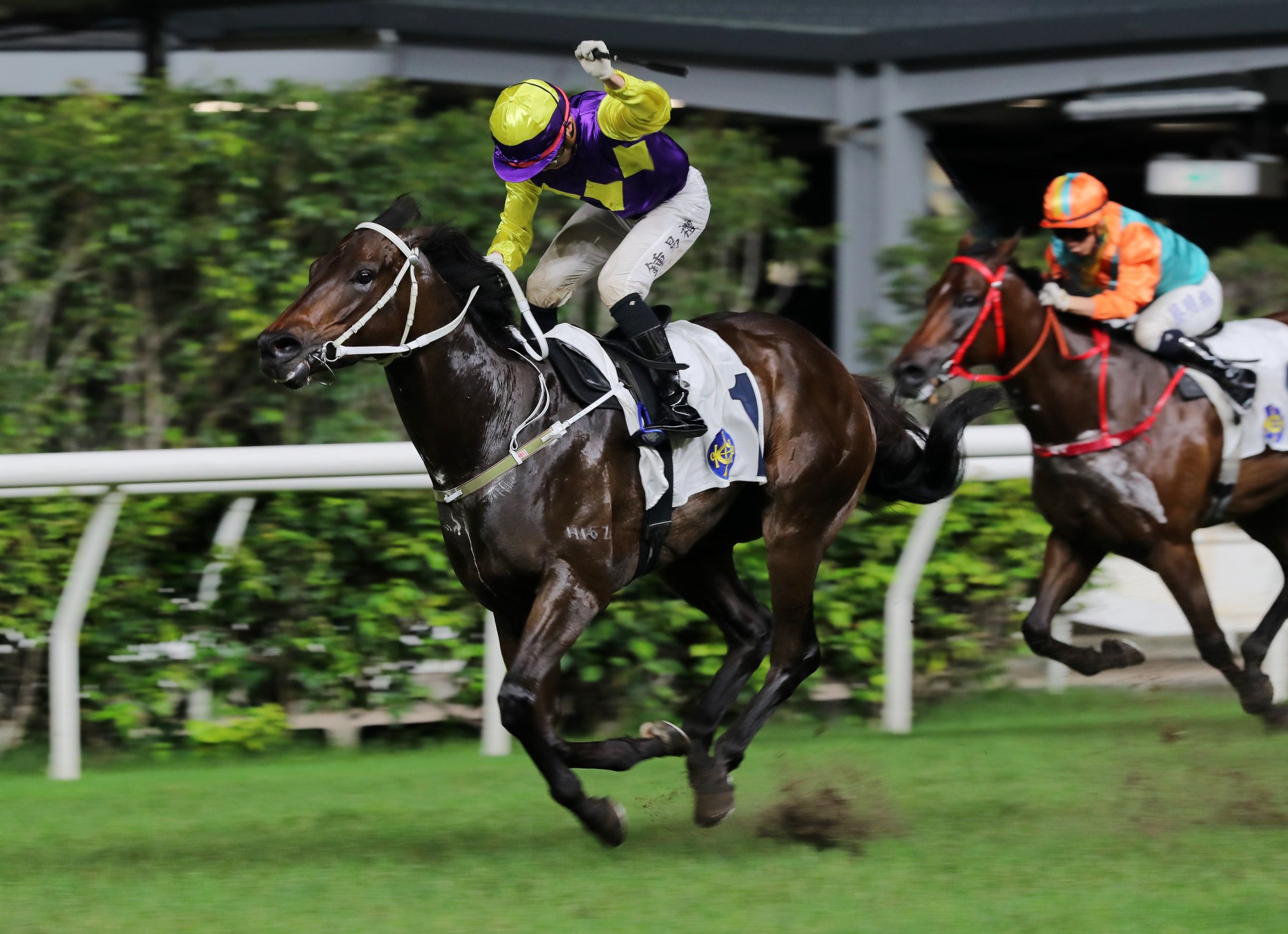 Angus Chung seals his 70th win in the city to graduate from his apprenticeship at Happy Valley in May.