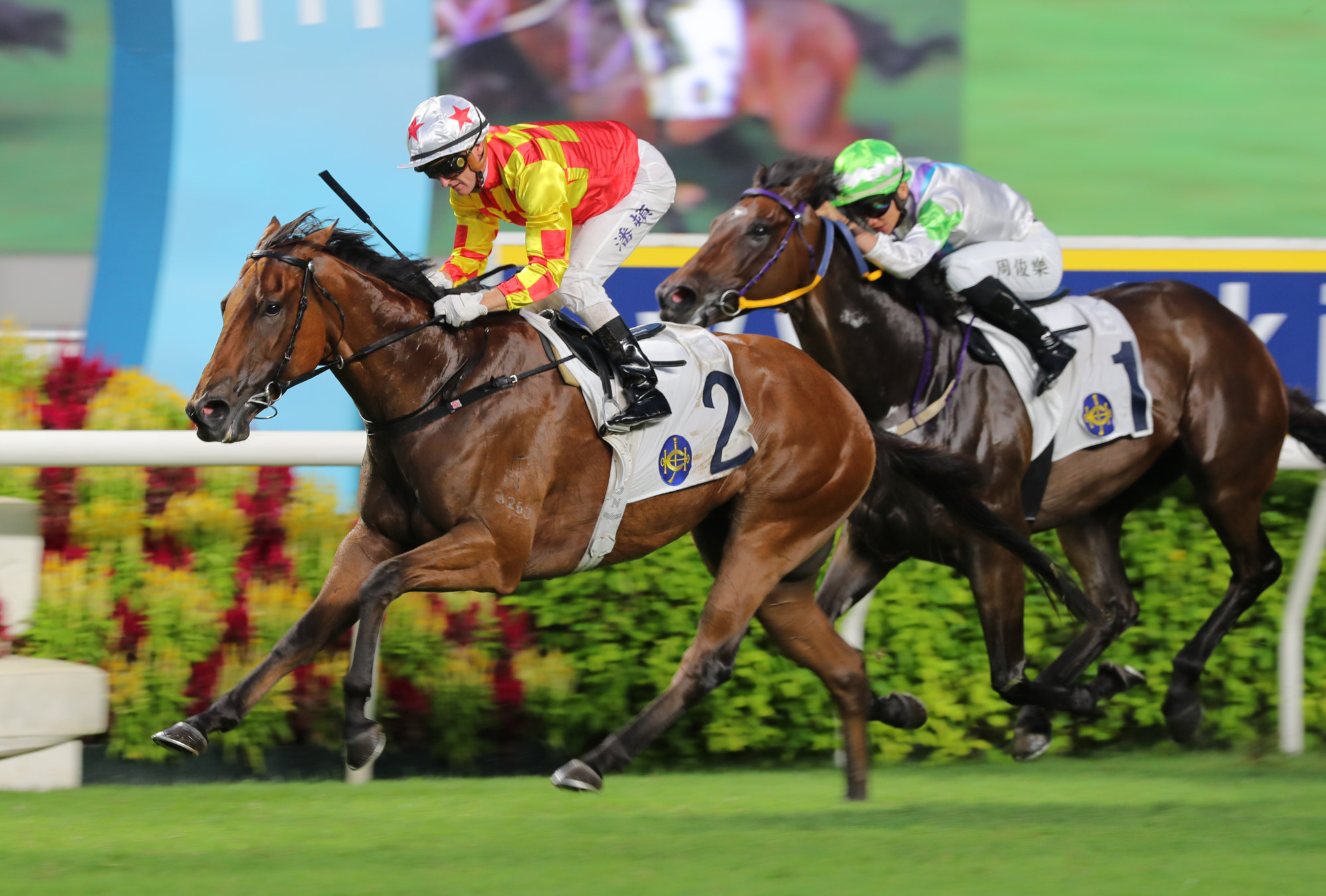 Zac Purton guides Steps Ahead to victory at Sha Tin.