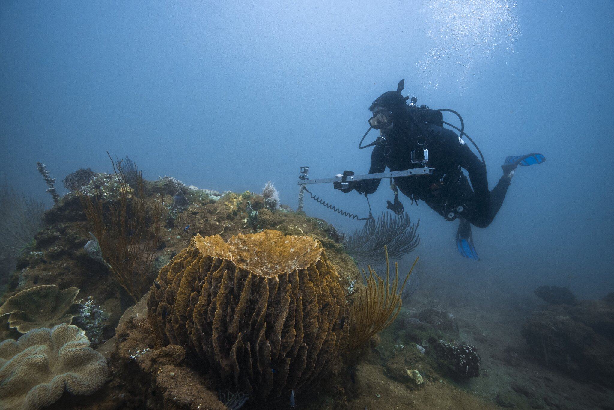 The Ningaloo Reef ecosystem is listed as an Unesco World Heritage site. Rolex’s Perpetual Planet Initiative supports Australian marine biologist Ben Fitzpatrick in his quest to keep Ningaloo Coast and Exmouth Gulf safe from development. Photos: Handout