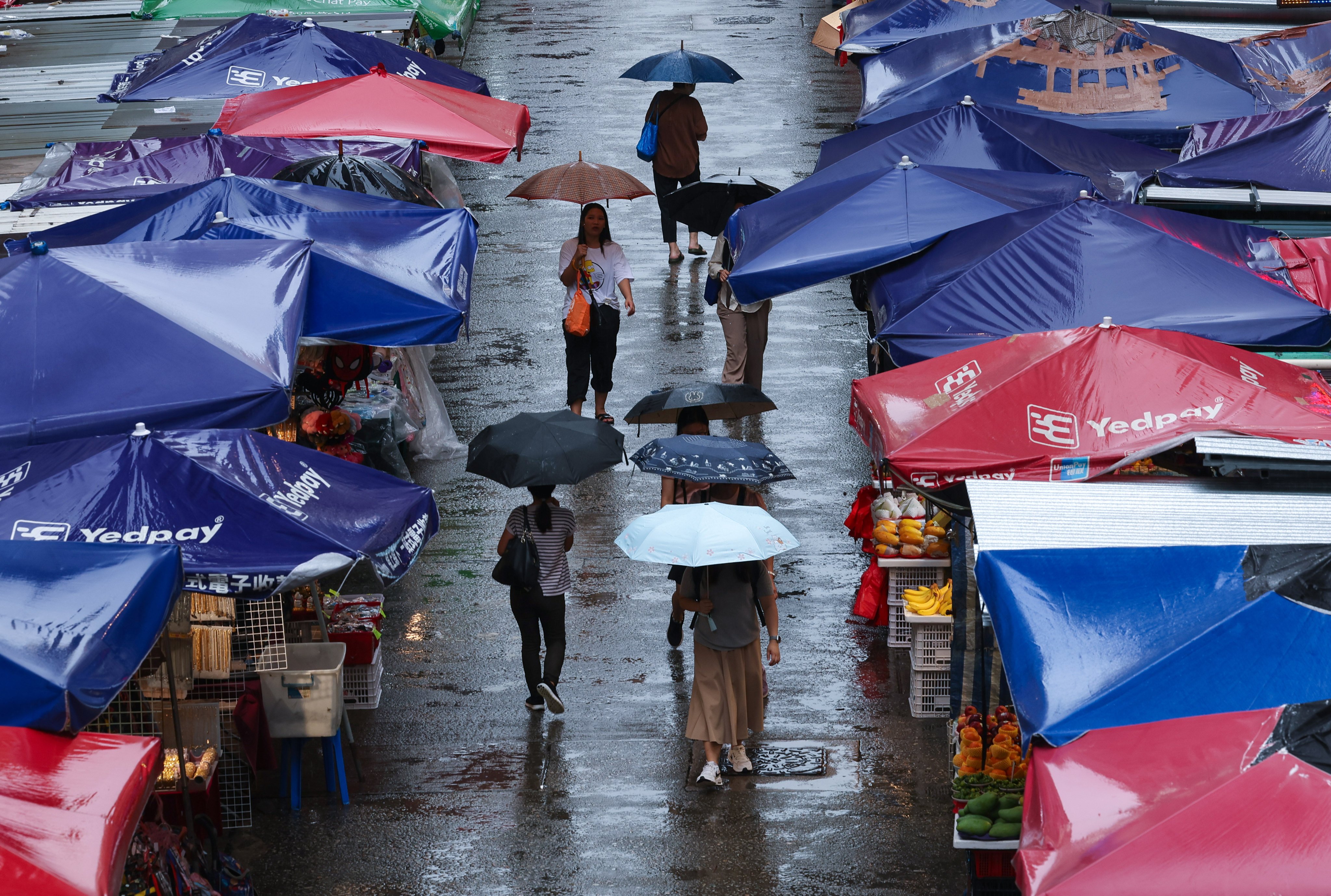 Dec Hong Kong Weather Forecasting
