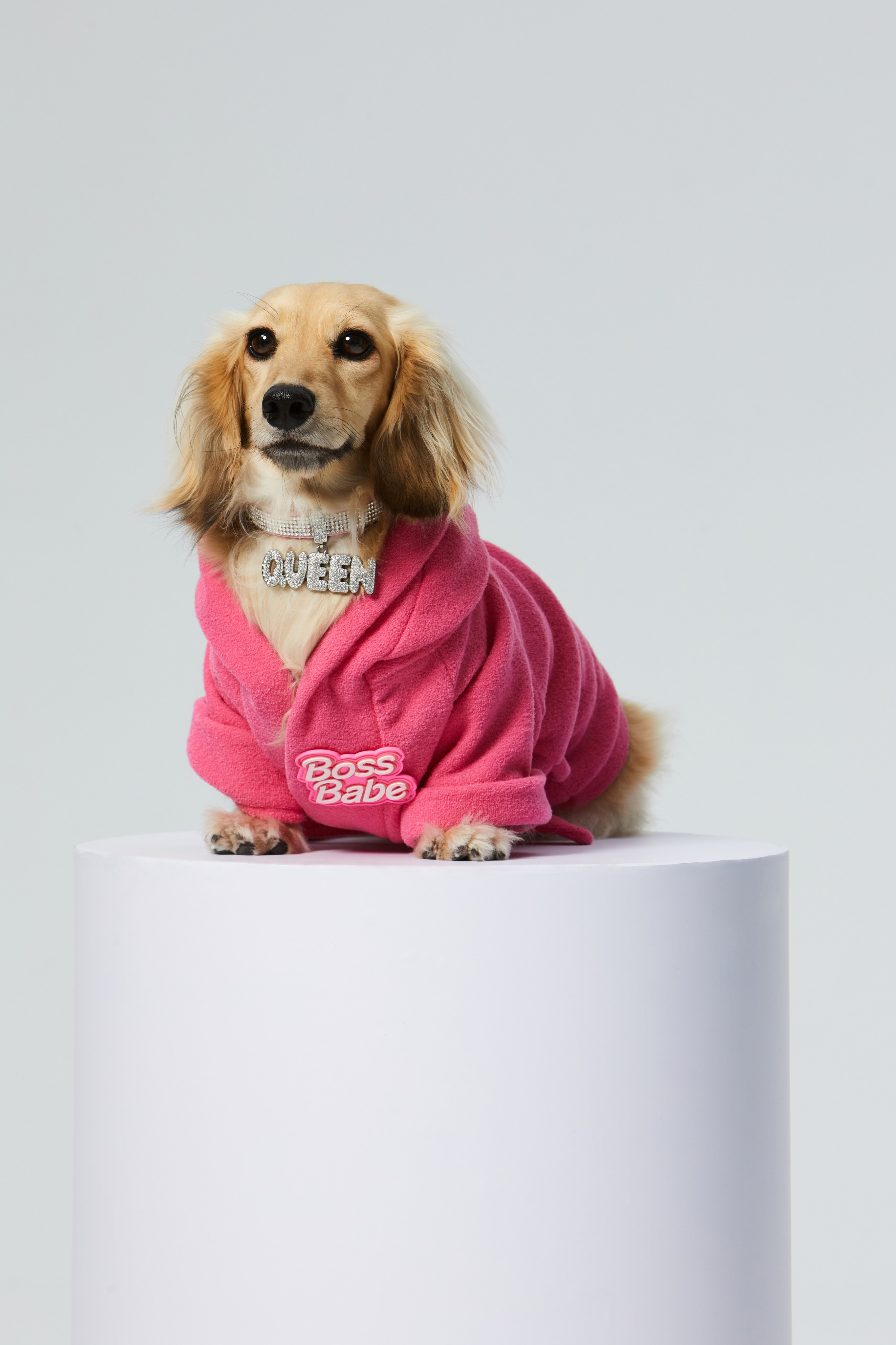 Shop luxury retailer Lane Crawford’s new pet collection this weekend, including this Venna Queen Pet Collar (HK$900) and  Boss Babe Dog Sweatshirt (HK$590) from Moshiqa. We’ve plenty of other tips for lovers of toys, jewellery, water sports and eco-friendly cosmetics. Photo: Lane Crawford
