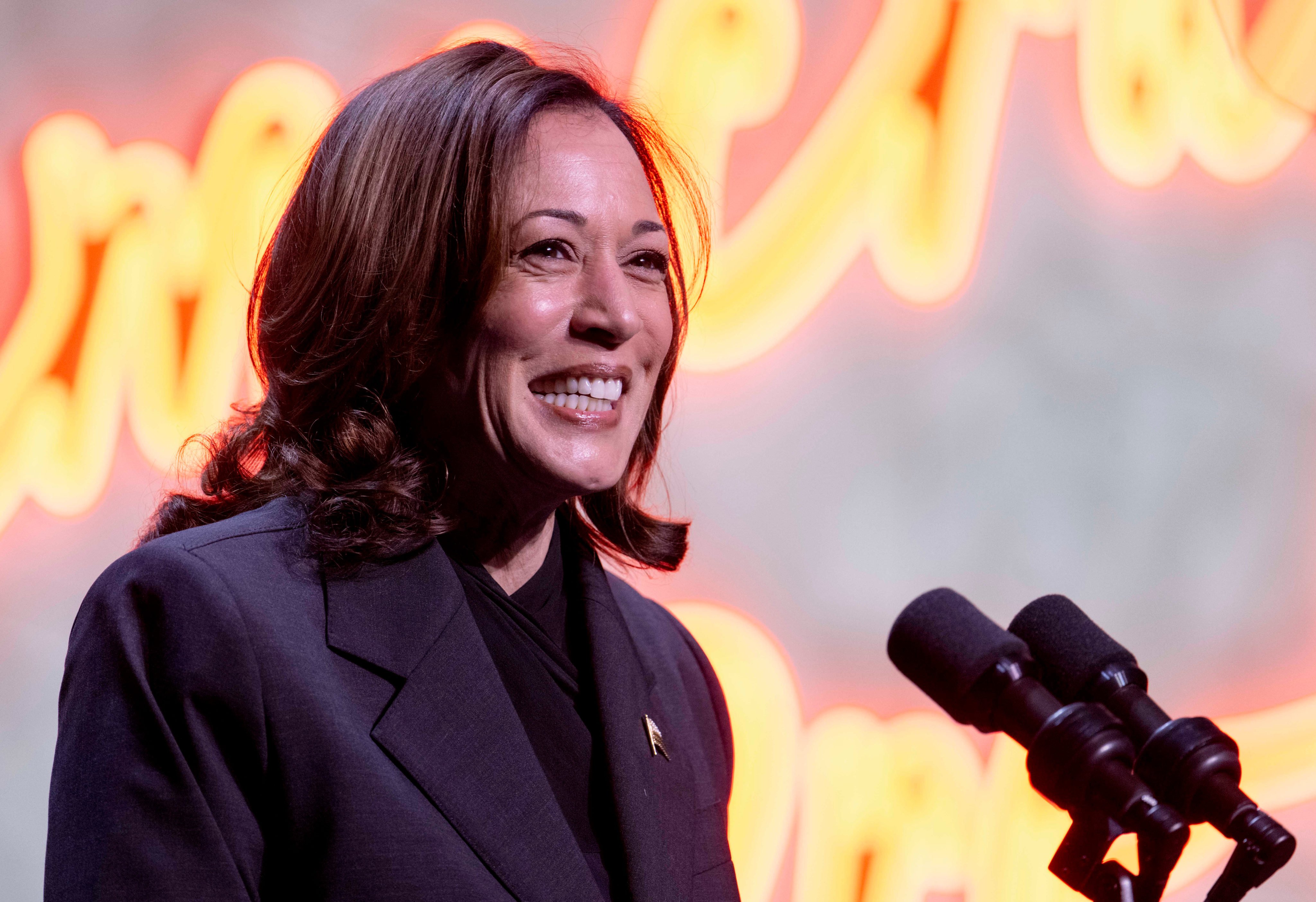 US Vice-President Kamala Harris speaks at an event in Washington in May. Photo: dpa