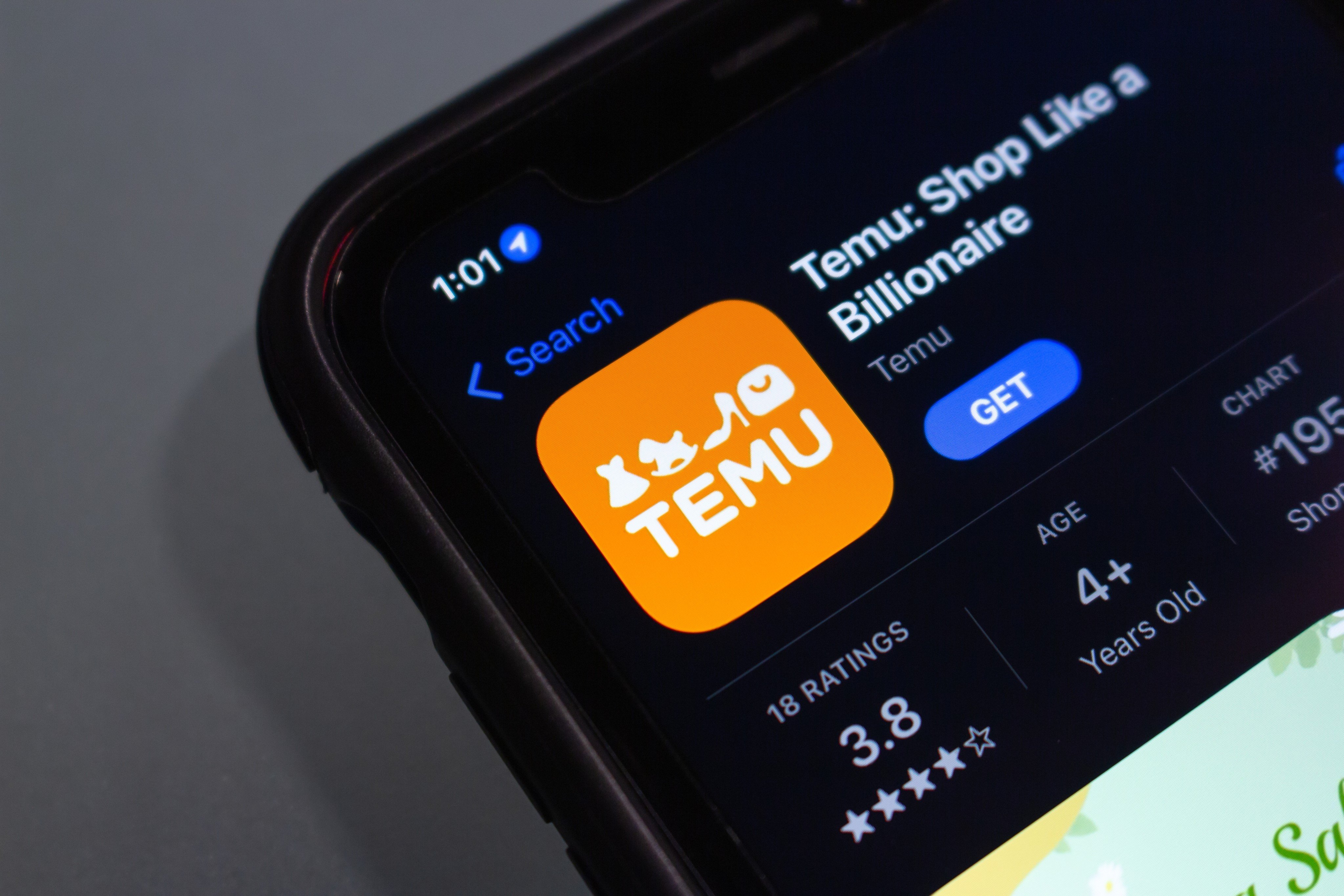 PDD Holdings-owned online marketplace Temu initially went live in the United States in September 2022. Photo: Shutterstock