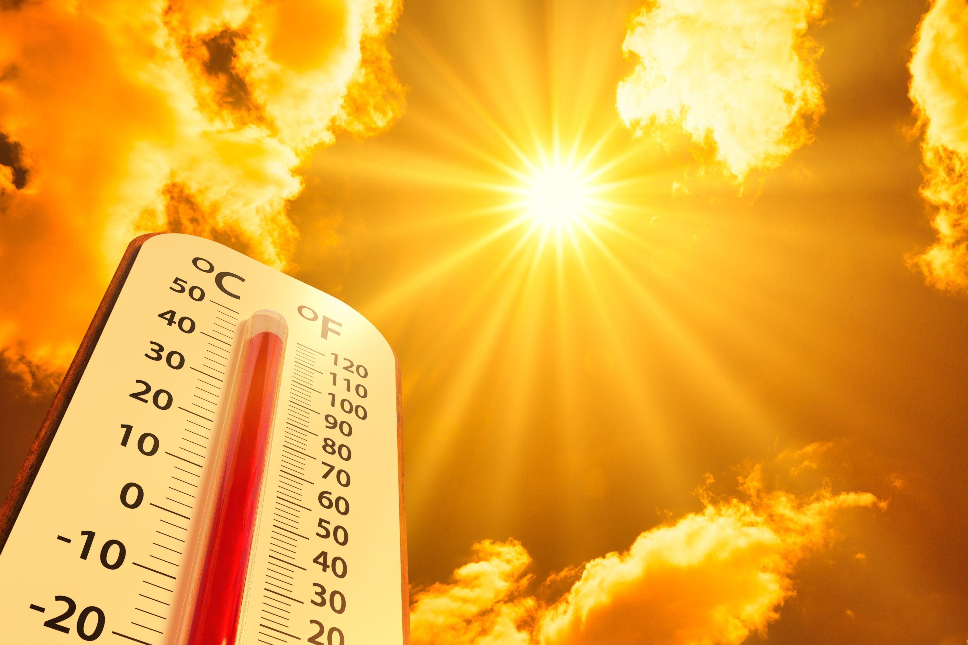 The world recorded its hottest ever day on Sunday, according to European weather monitors. Photo: Shutterstock