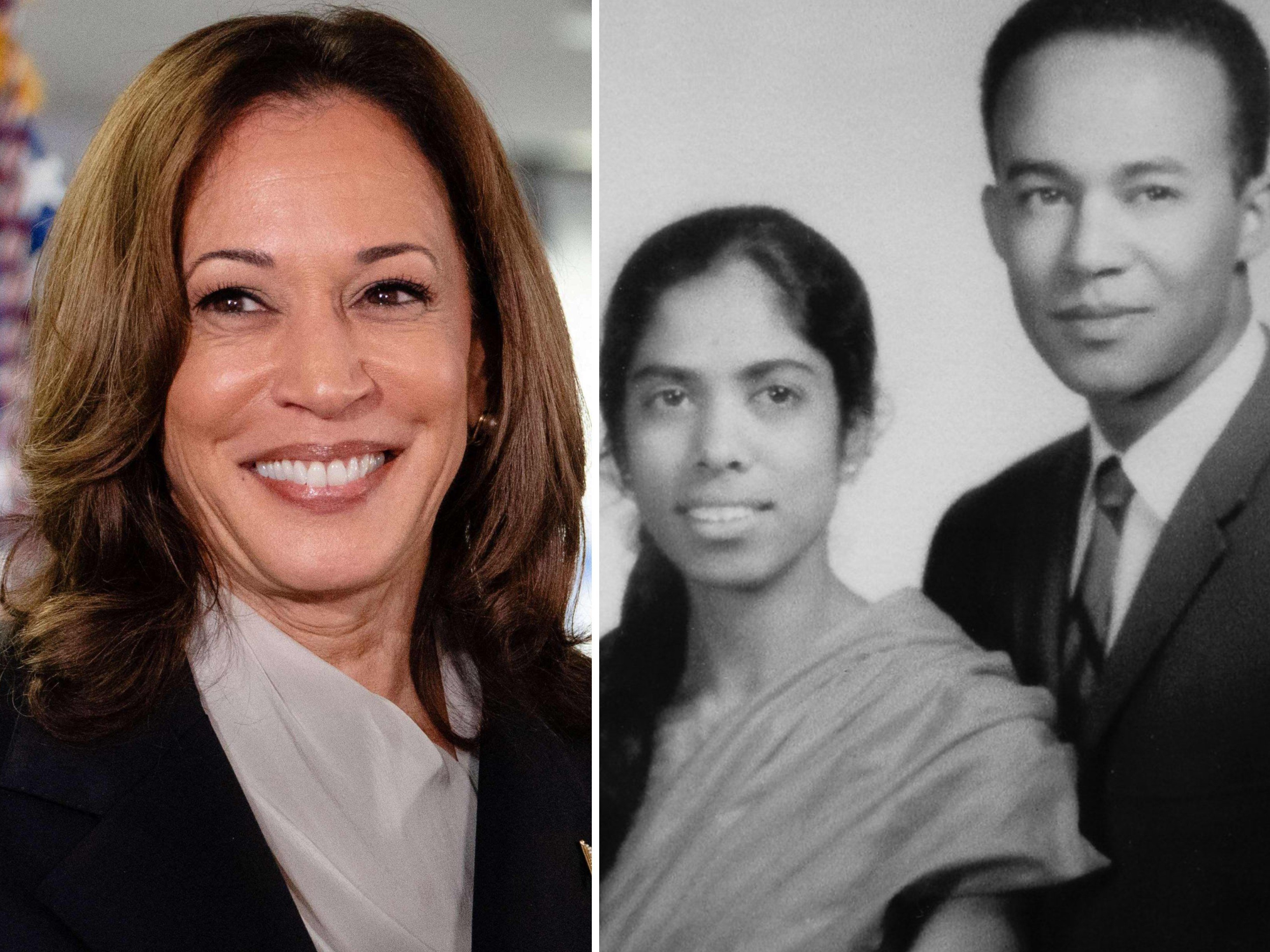 What Ethnicity is Kamala Harris’ Parents: Unveiling Her Roots – Babies ...