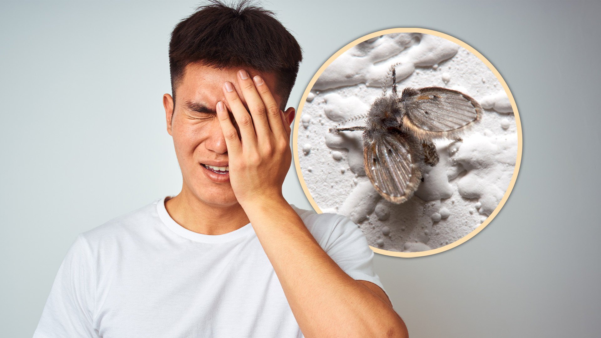 Surgeons in China were forced to remove the eyeball of a man after residue bacteria from an insect he swatted to death on his face threatened to seep into his brain. Photo: SCMP composite/Shutterstock