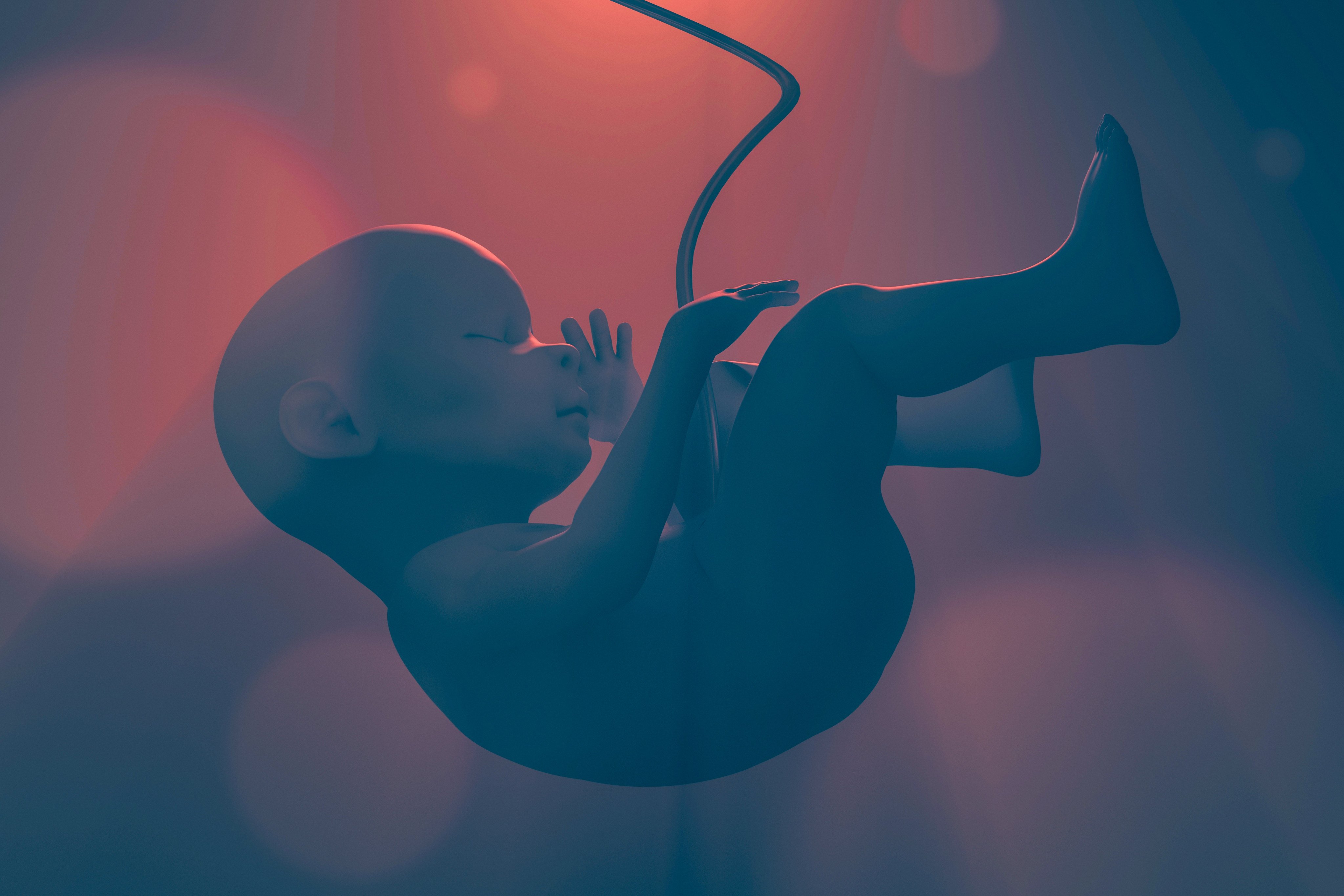 After a baby is born, the blood that remains in the placenta and umbilical cord is known as cord blood. Photo: Shutterstock