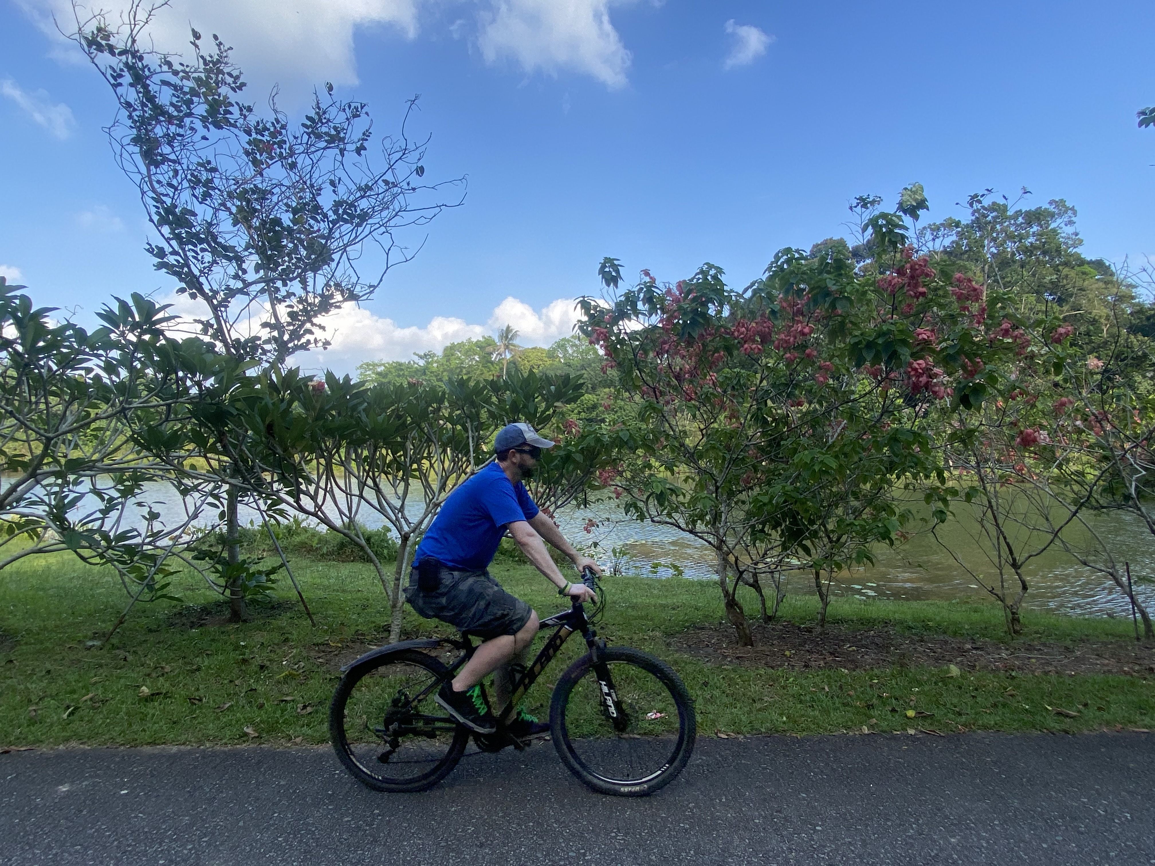 A cyclist on Pulau Ubin. Photo: Tamara Hinson