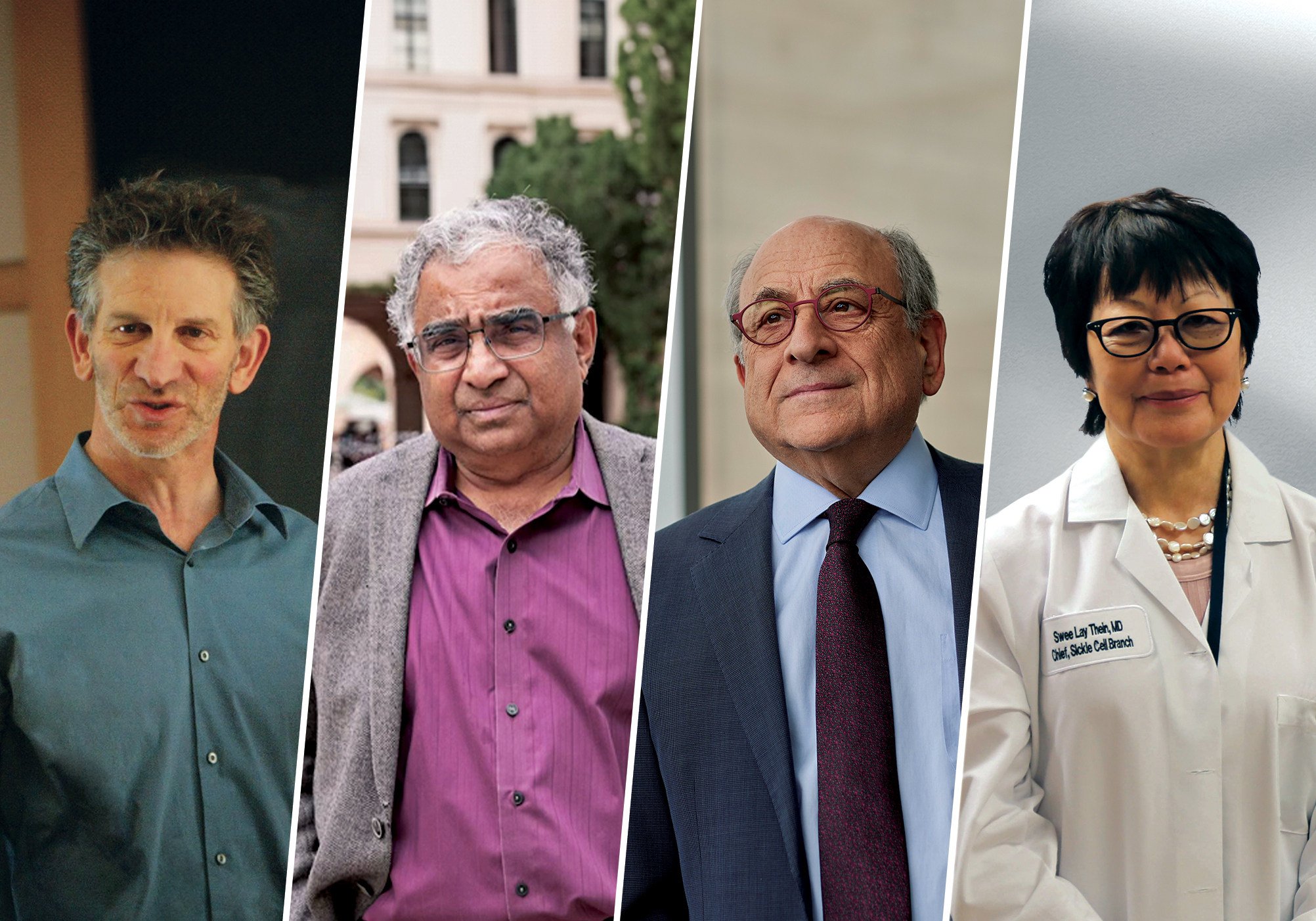 The four winners of the prestigious Shaw Prize for 2024, (from left) Peter Sarnak, Shrinivas R Kulkarni, Stuart Orkin and Swee Lay Thein, will receive their awards in Hong Kong on November 12.