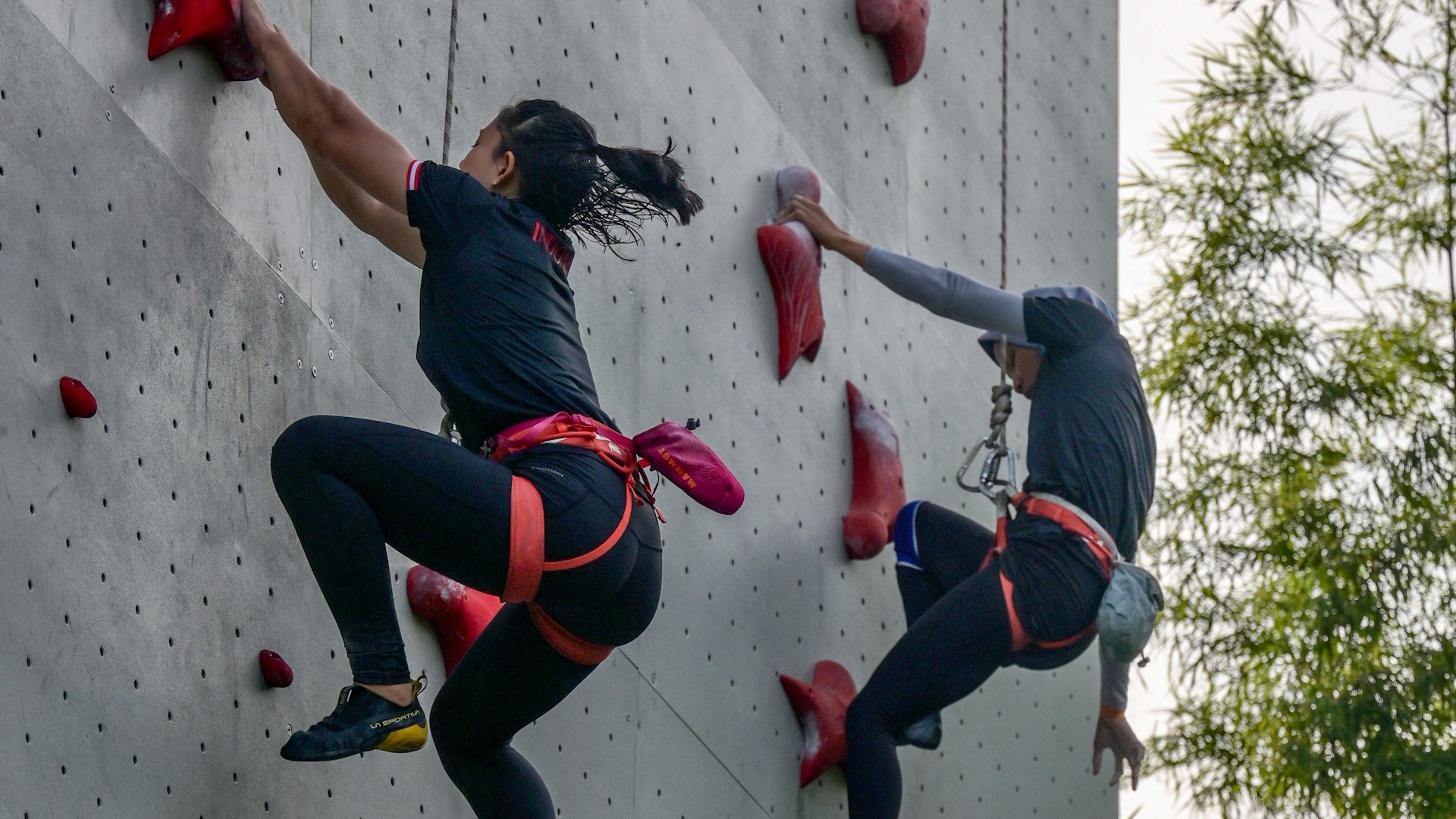 Speed climbing was first included as an Olympic event in 2021.