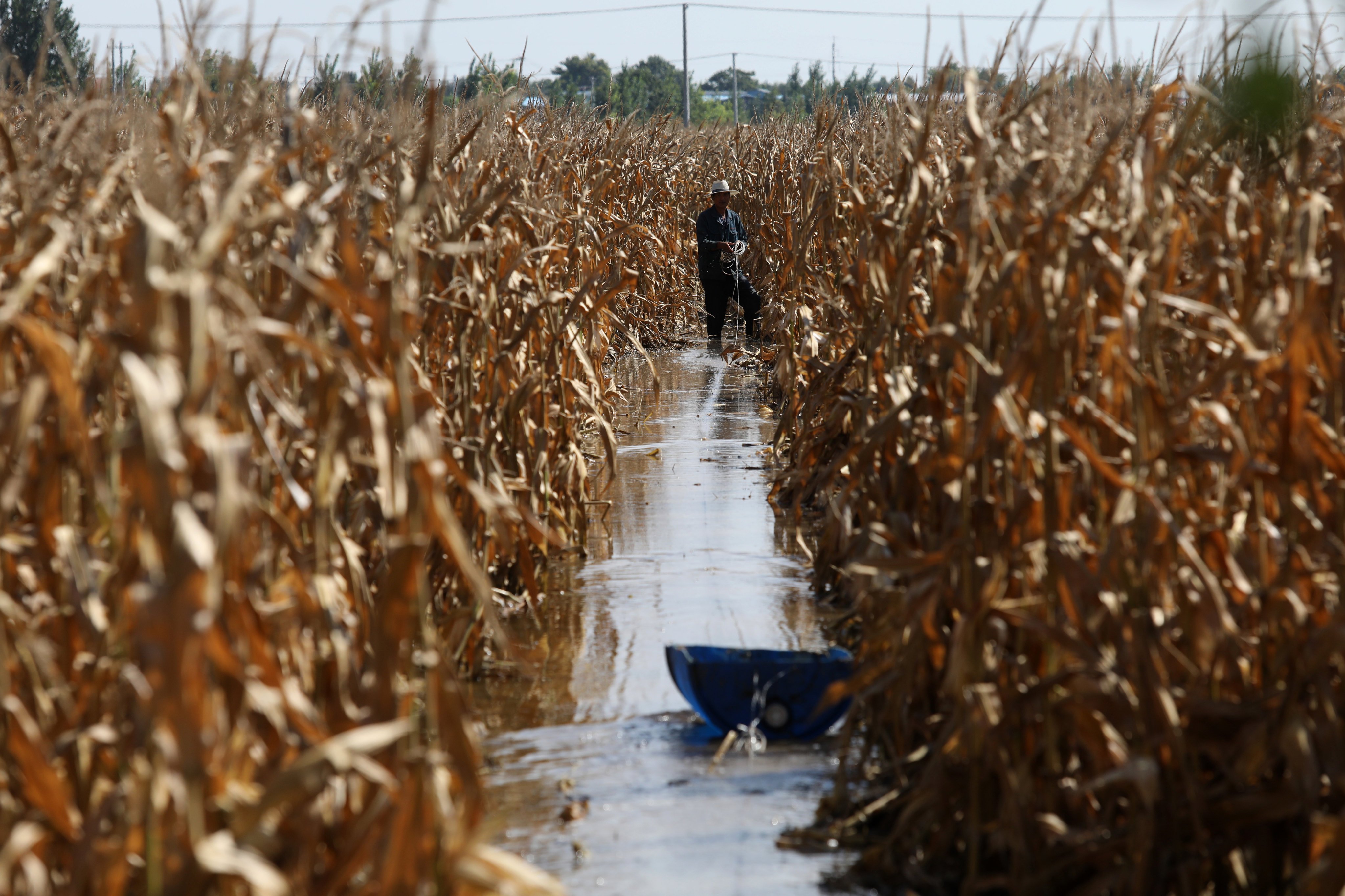 Increased occurrences of extreme weather events in recent years have compounded stress on China’s food self-sufficiency drive. Photo: Simon Song