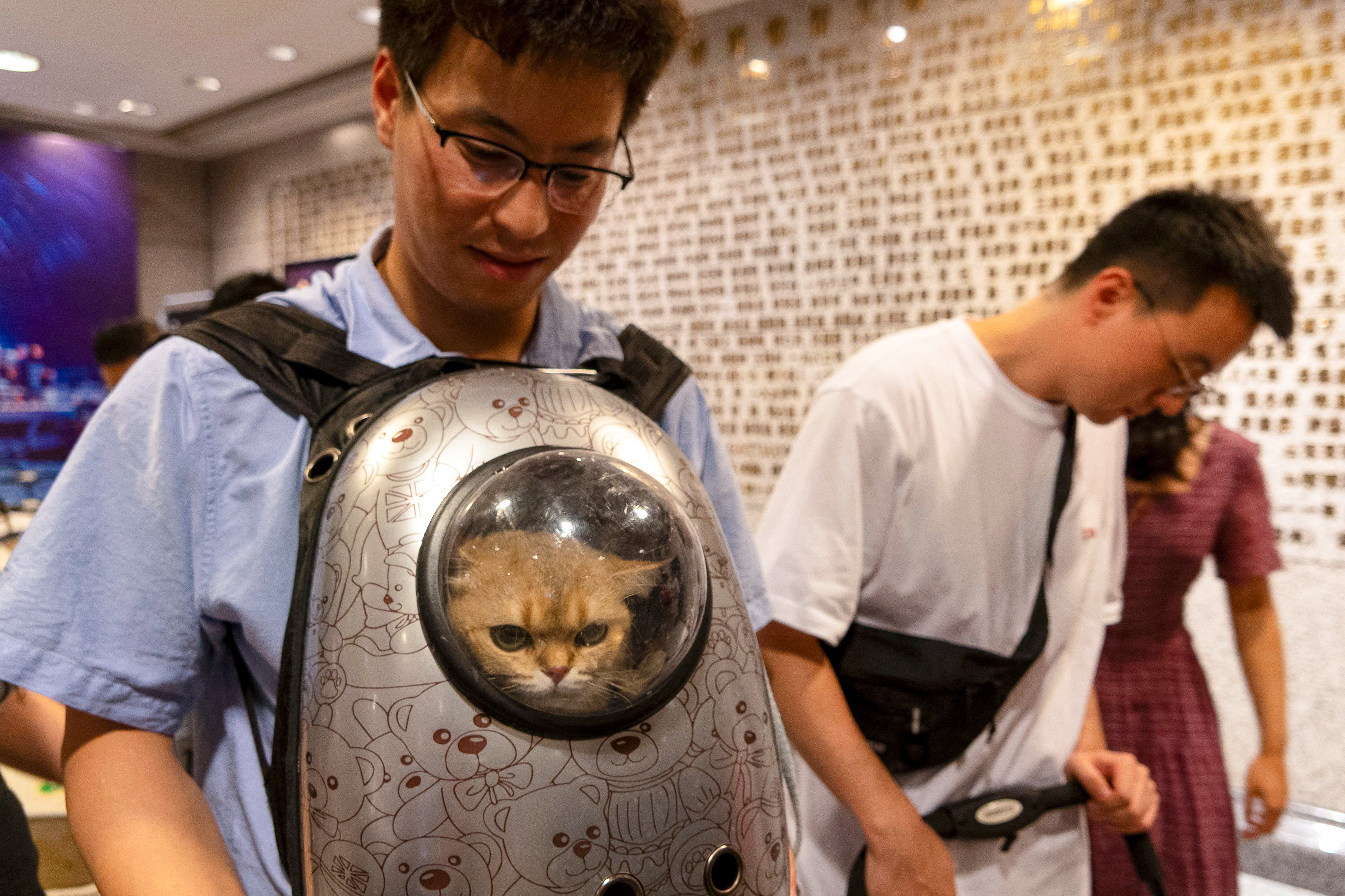 A man brings his feline friend to Shanghai Museum’s first “Cat Night”, at its ancient Egypt exhibition last month. Photo: AFP