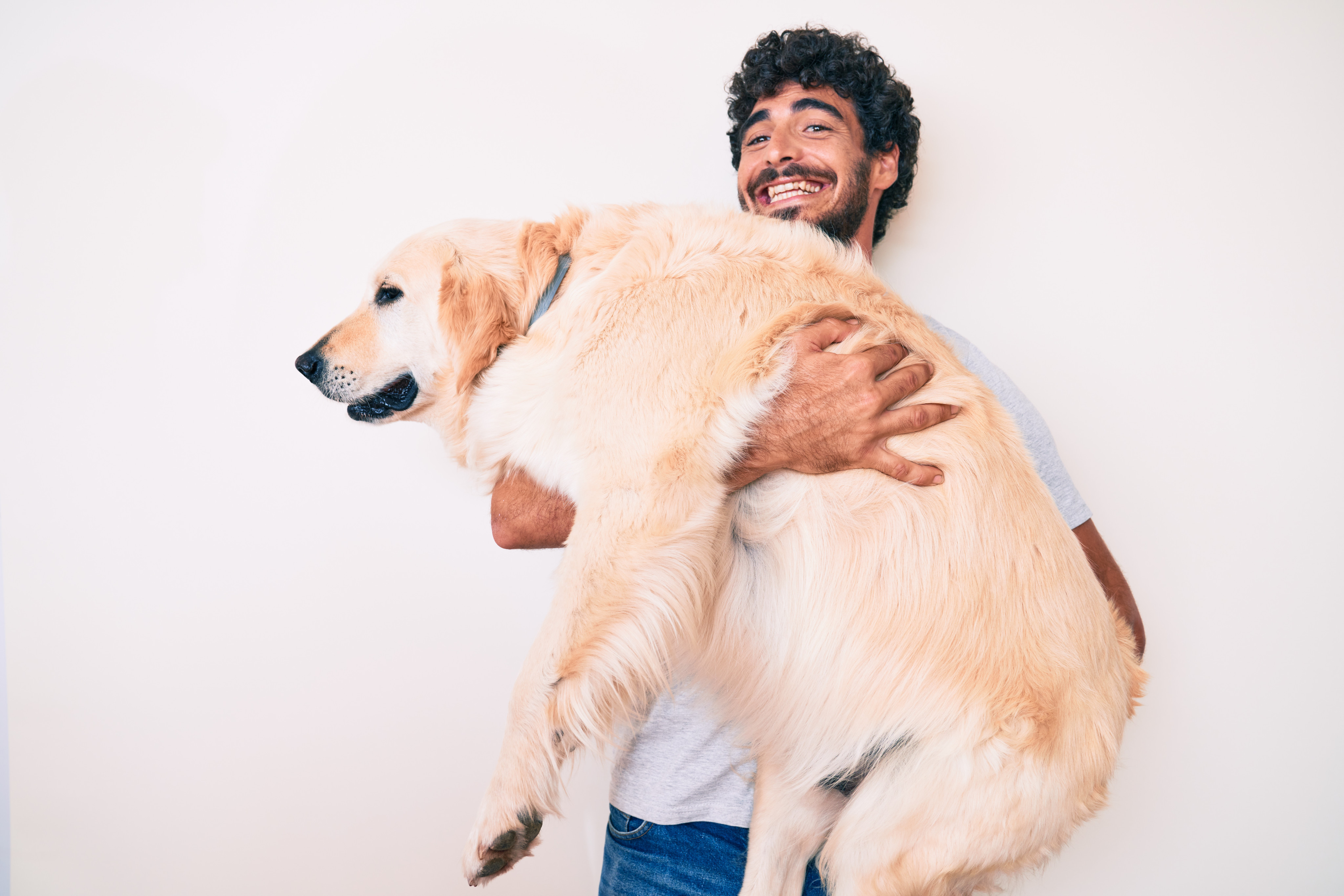 An overweight pet may look cute to its owner, but their excess weight could be shortening their lifespan. Experts explain how to get them back in shape. Photo: Shutterstock