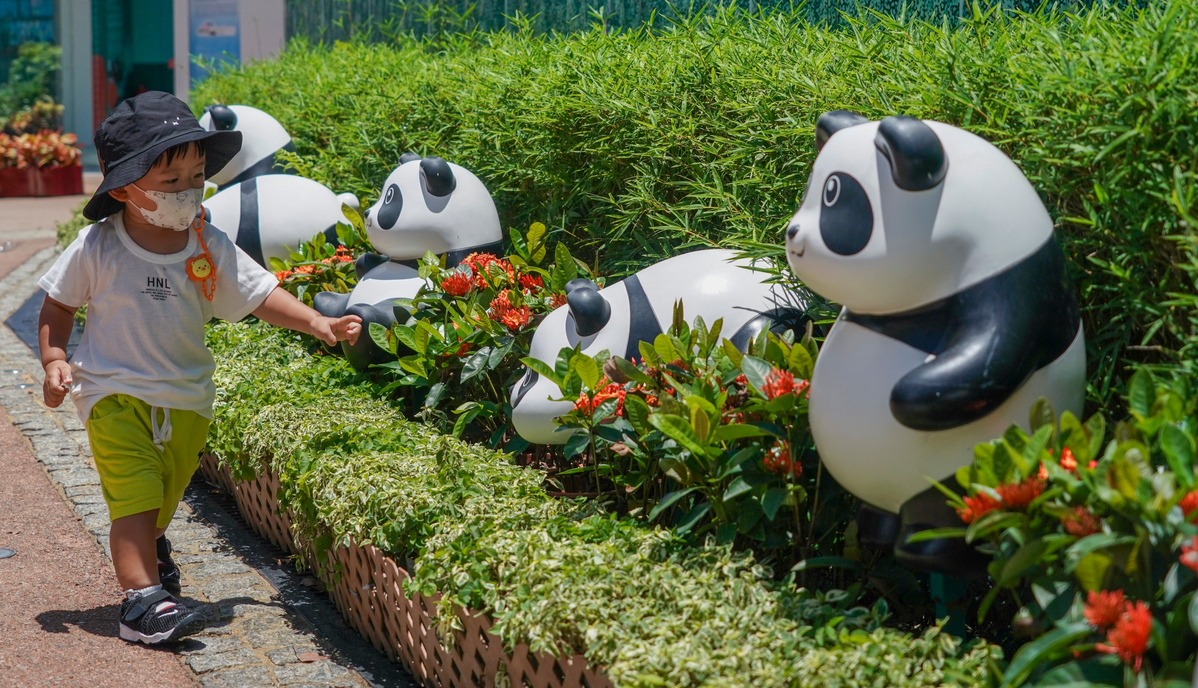 China’s “panda economy” includes themed merchandise, tourism and services related to the beloved bears as their popularity balloons. Photo: Felix Wong