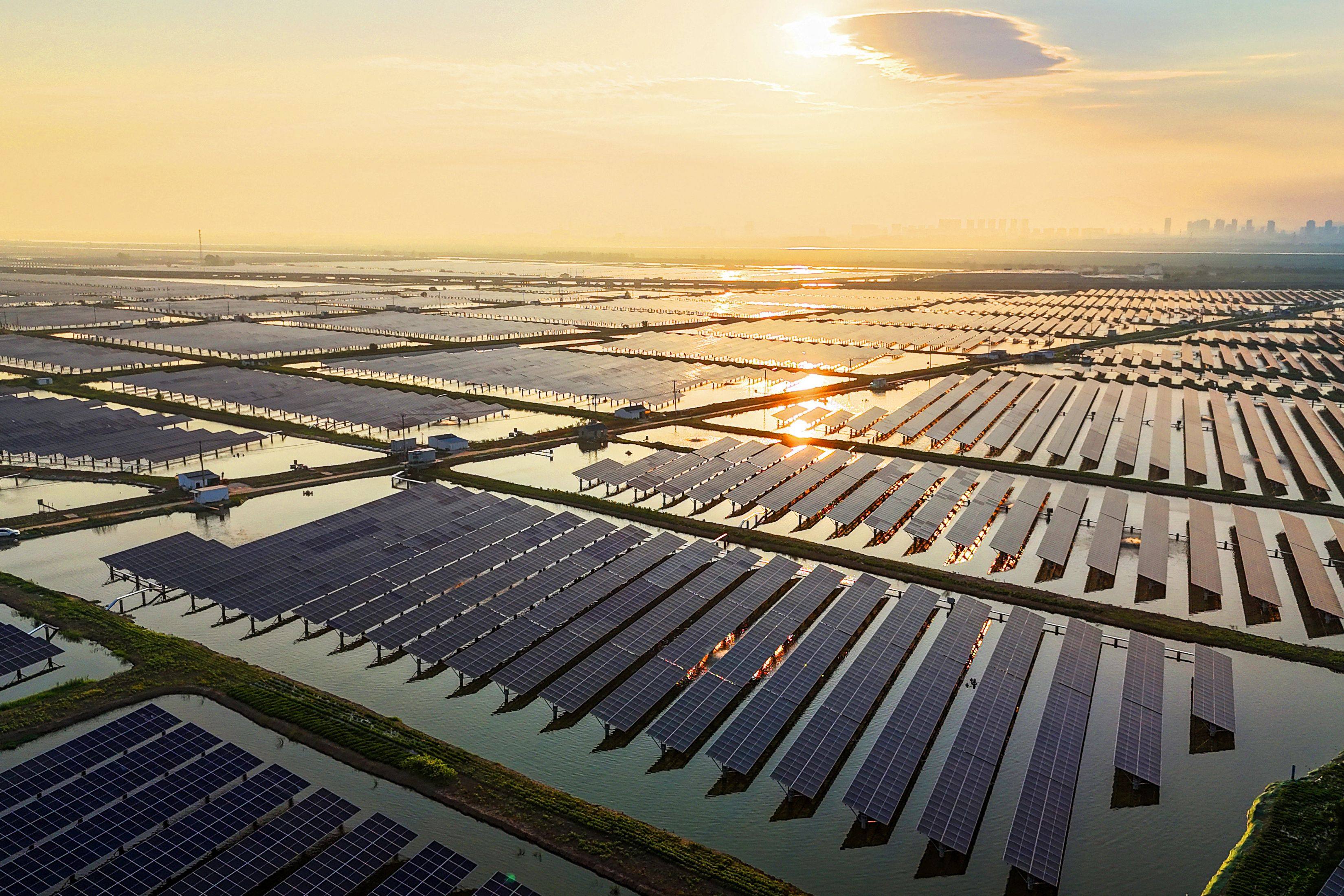 Solar panels collect sunlight at the fishing-solar complementary photovoltaic power generation base in Lianyungang, Jiangsu province, on July 31. Photo: AFP