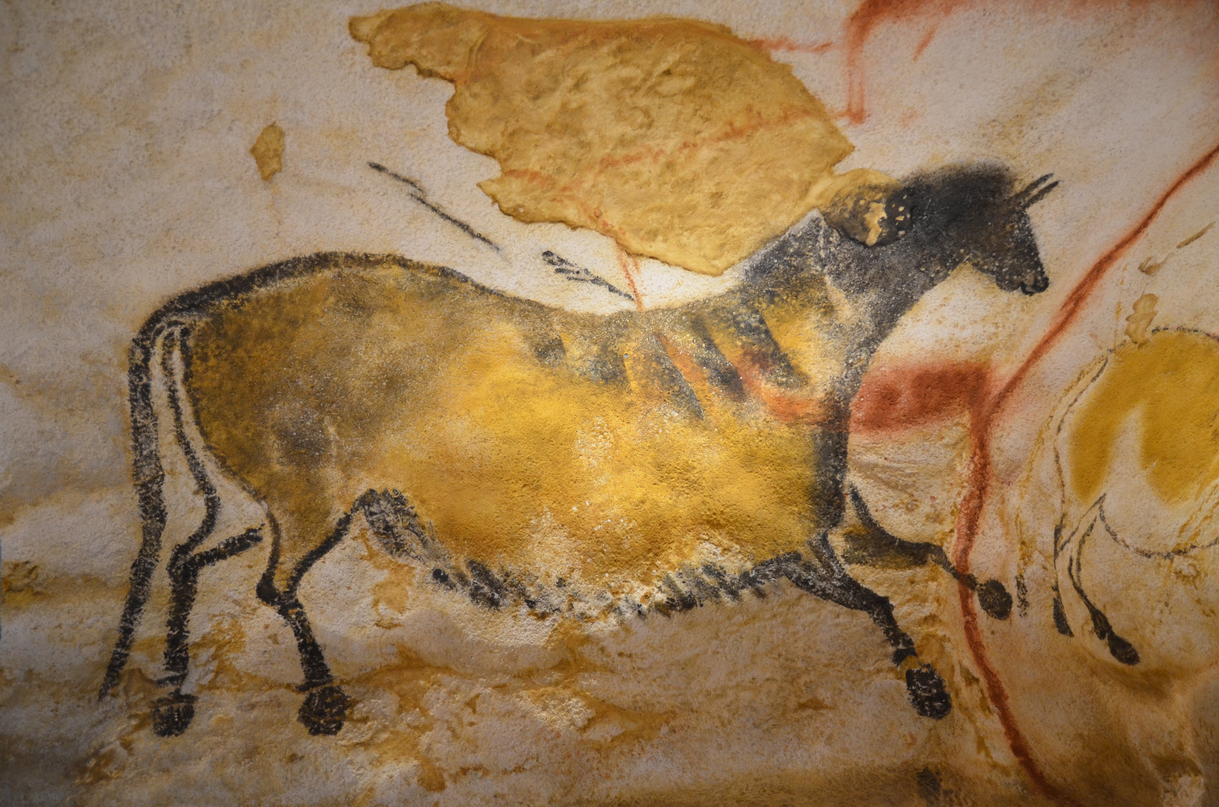 A prehistoric drawing cave of a horse. Horses might have gone extinct after the Ice Age had man not domesticated them, after which they played a decisive role in human history, as a new history of the horse recalls. Photo: Shutterstock