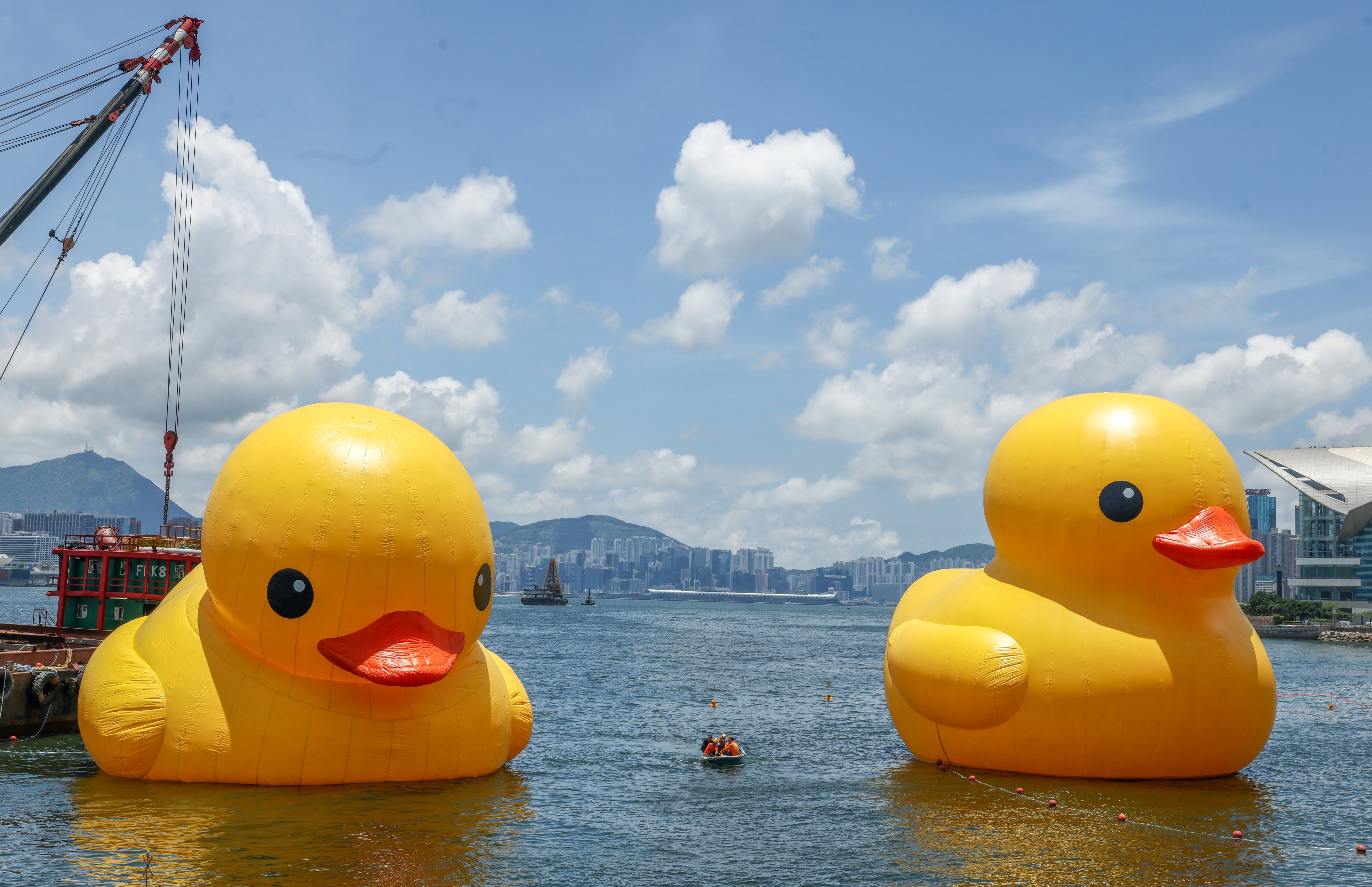 Rubber ducks riding high from Hong Kong to hotel rooms to cruise ships. Why so South China Morning Post