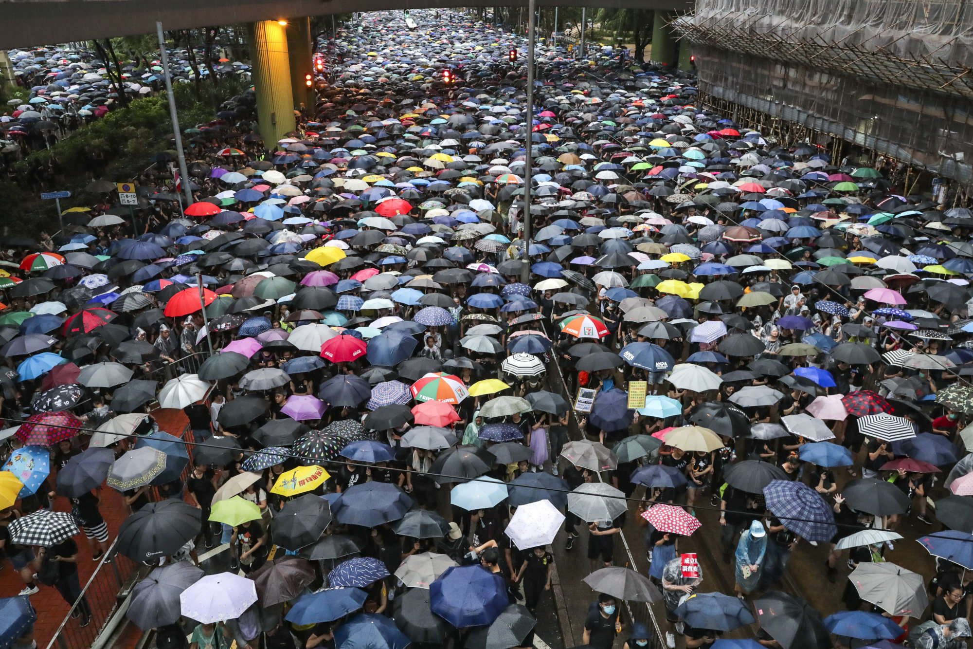 Protesters attending the rally on August 18, 2019. Photo: Edmond So