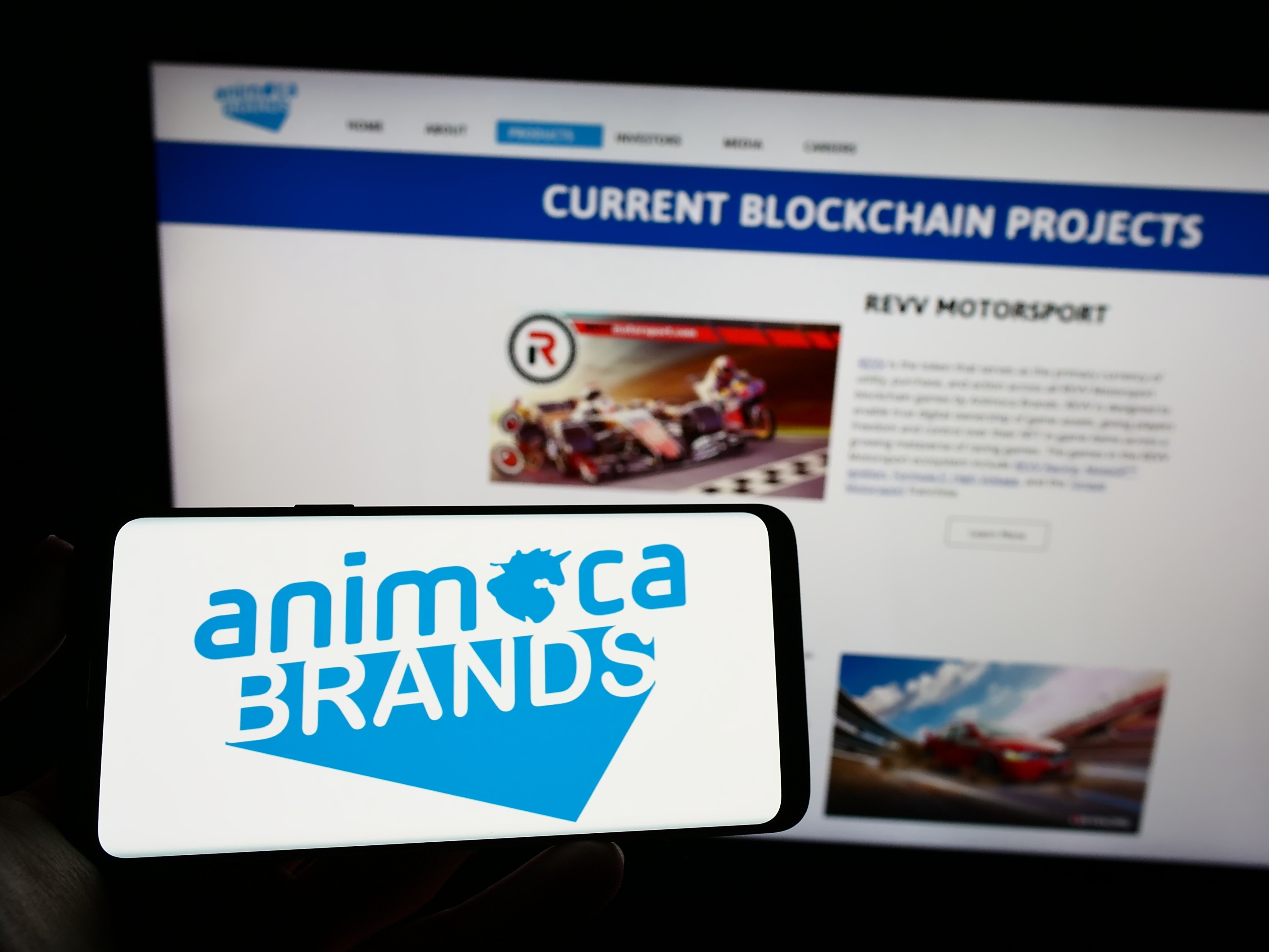 Animoca Brands is trading on secondary markets at a valuation that is at least half what it was valued at two years ago, founder Yat Siu said. Photo: Shutterstock