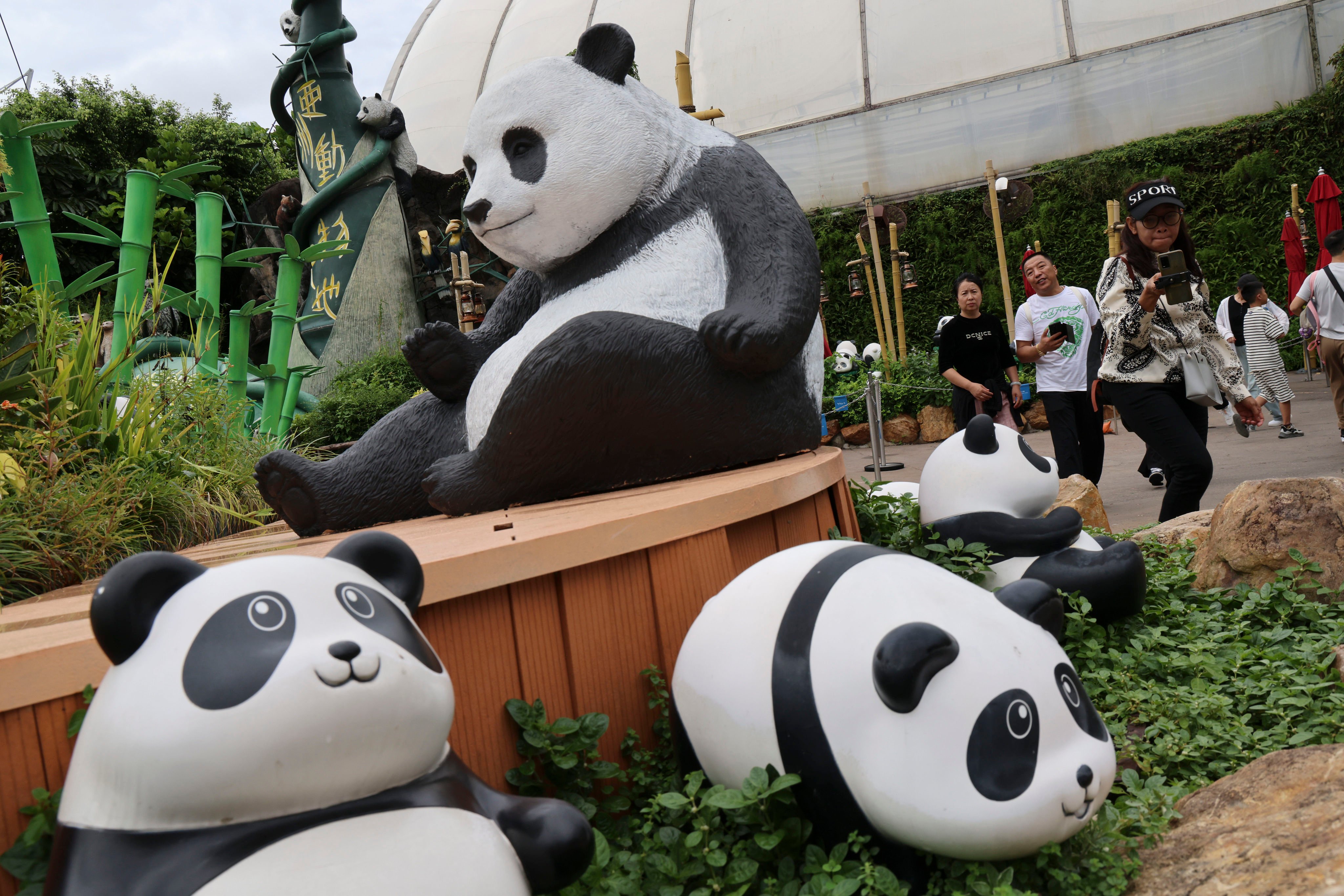 Hong Kong lawmakers have called for panda-themed MTR carriages and art spaces to capitalise on the birth of two cubs. Photo: Jelly Tse