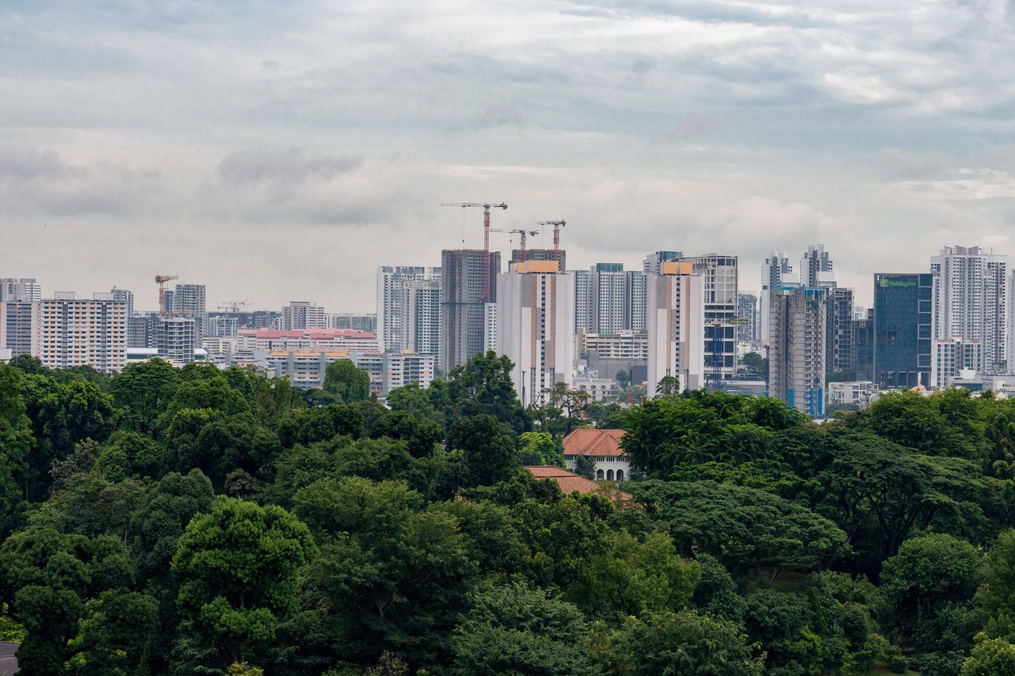 Most of the suspects’ targets were observed to be near forested areas in Singapore, which provided cover for their activities. Photo: Bloomberg