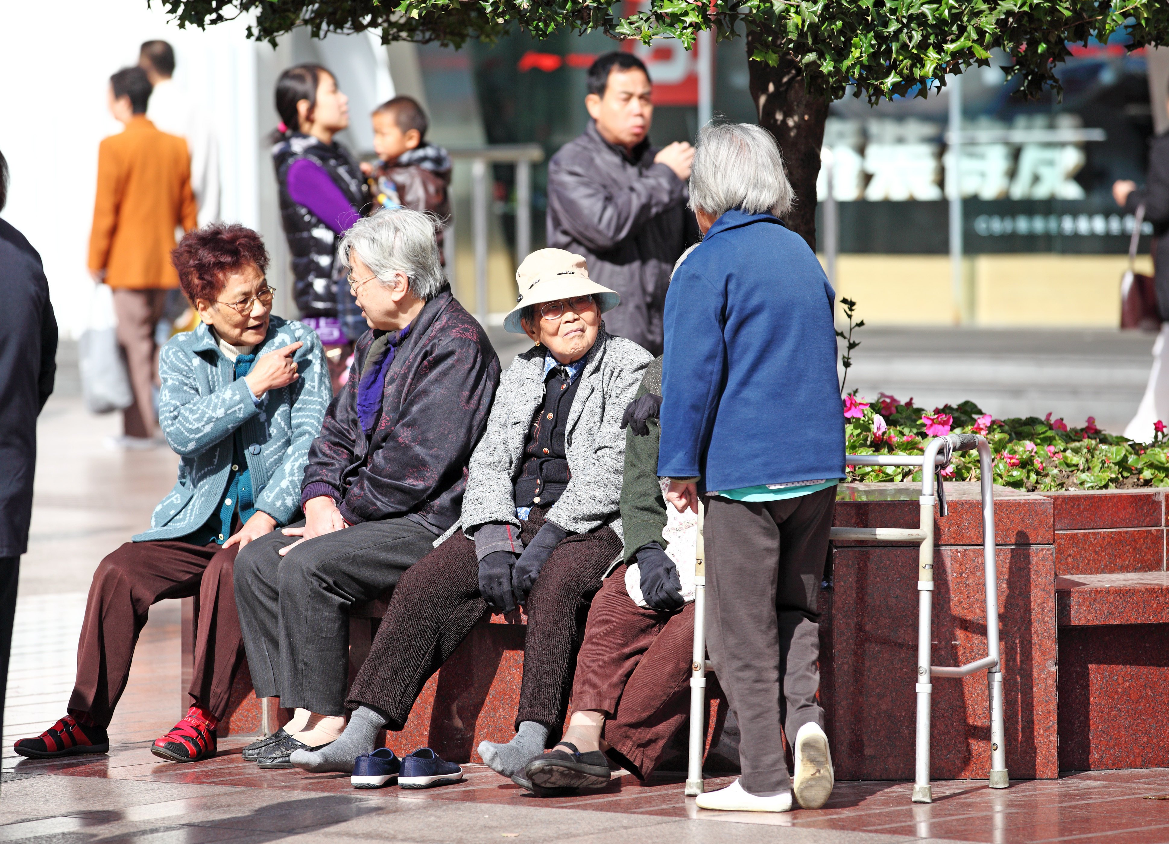 As of 2023, China had nearly 297 million people aged 60 or above, accounting for 21.1 per cent of the national population. Photo: Shutterstock