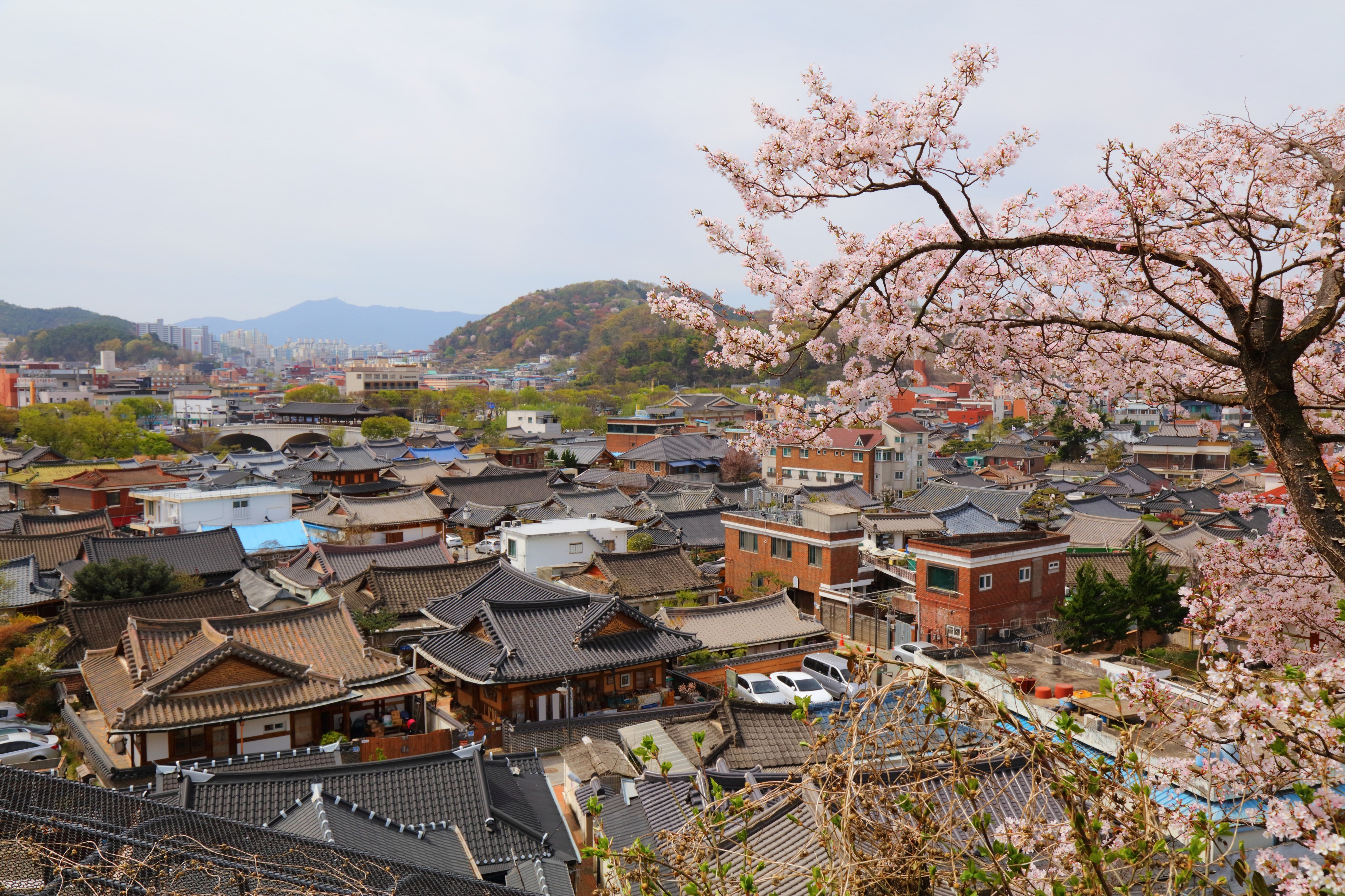 The Jeonju Hanok Village is the largest of its kind in South Korea. Photo: Getty Images