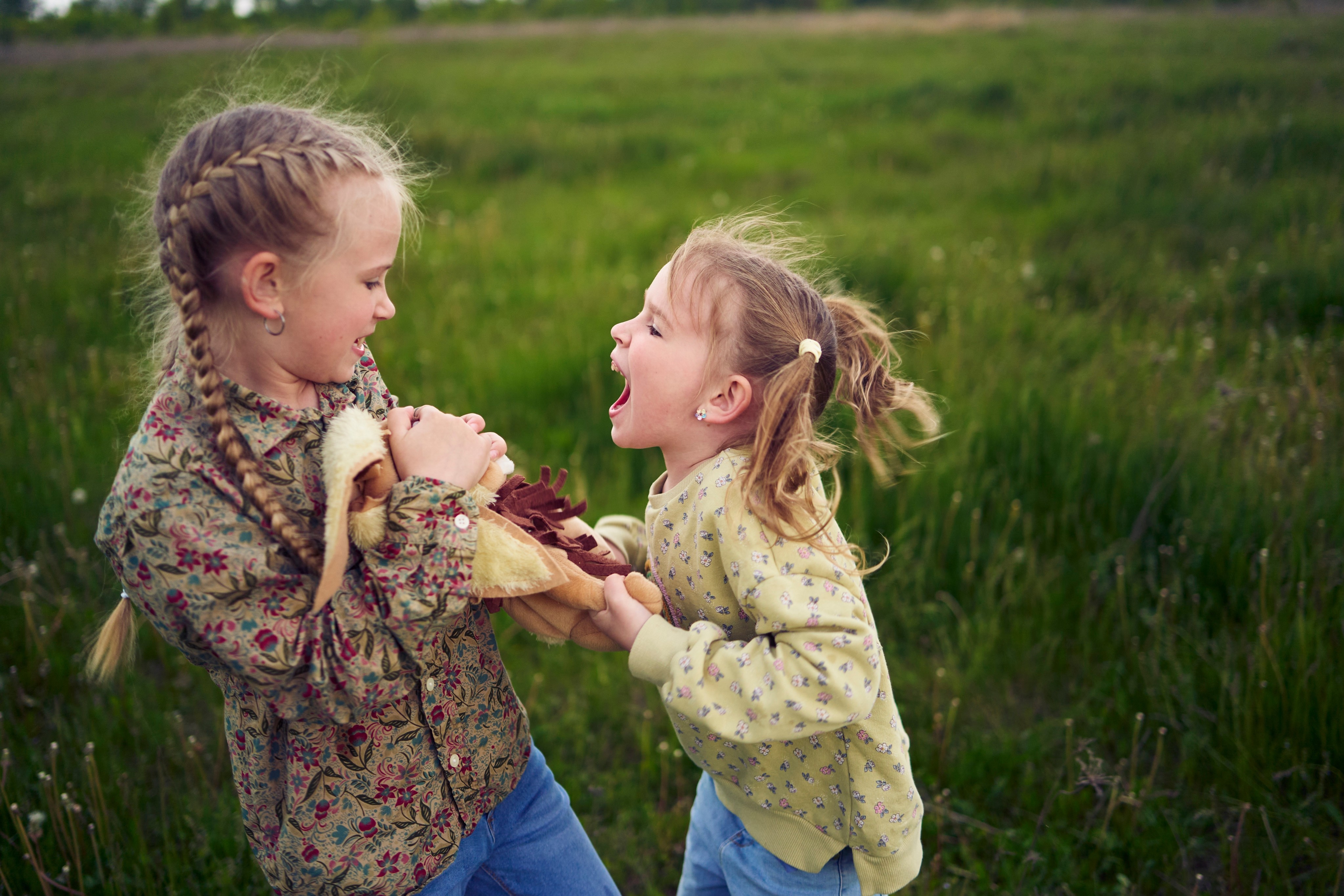 It’s normal for siblings to fight, but hitting is never OK. Photo: Shutterstock