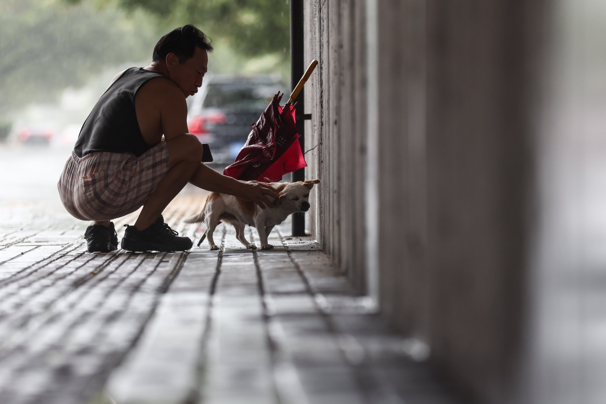 A man touches his dog as they wait in a tunnel during heavy rain in Beijing on July 30, 2024. Photo: EPA-EFE