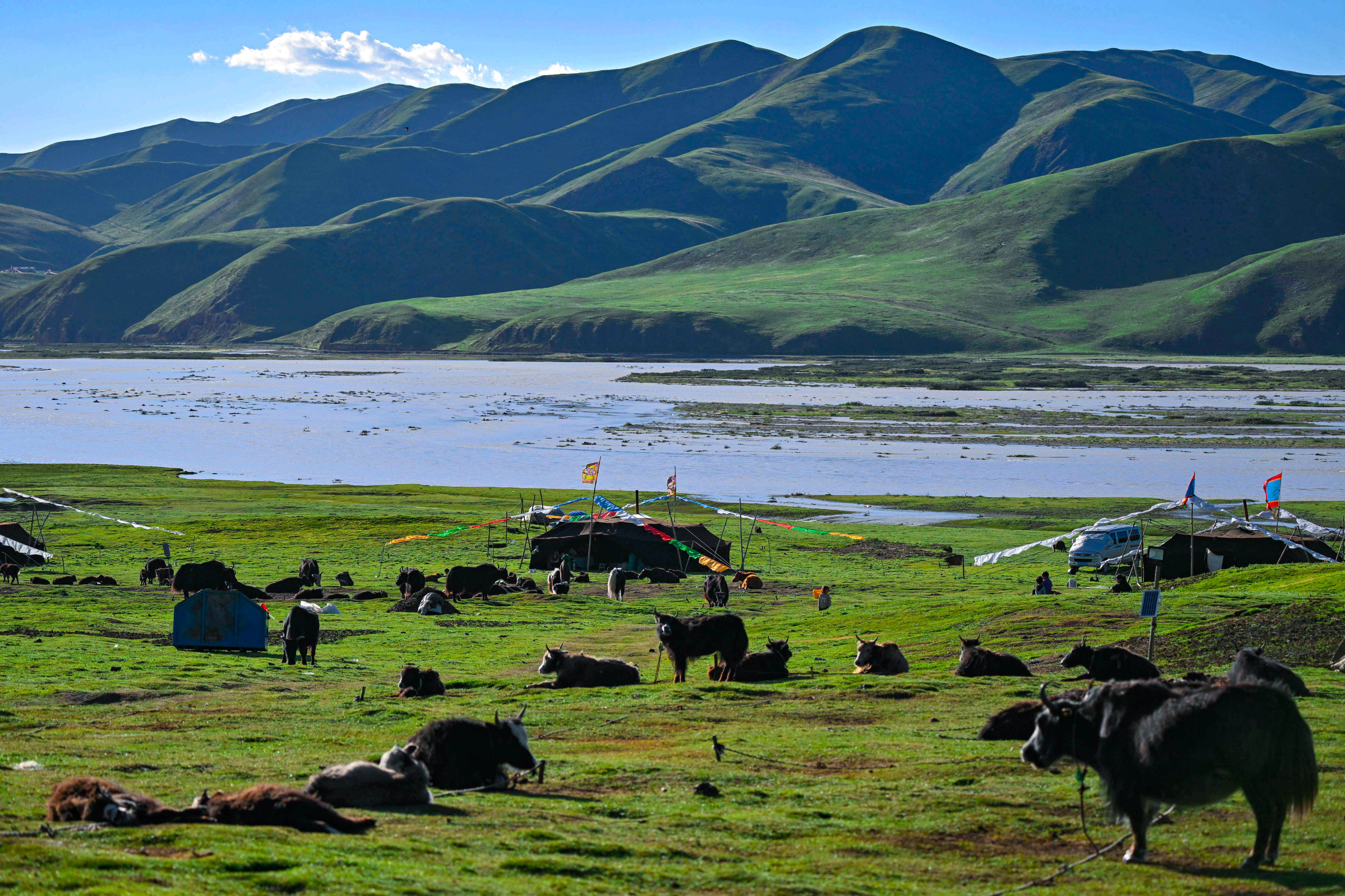 Melting glaciers have seen the amount of vegetation on the plateau expanding. Photo: Xinhua