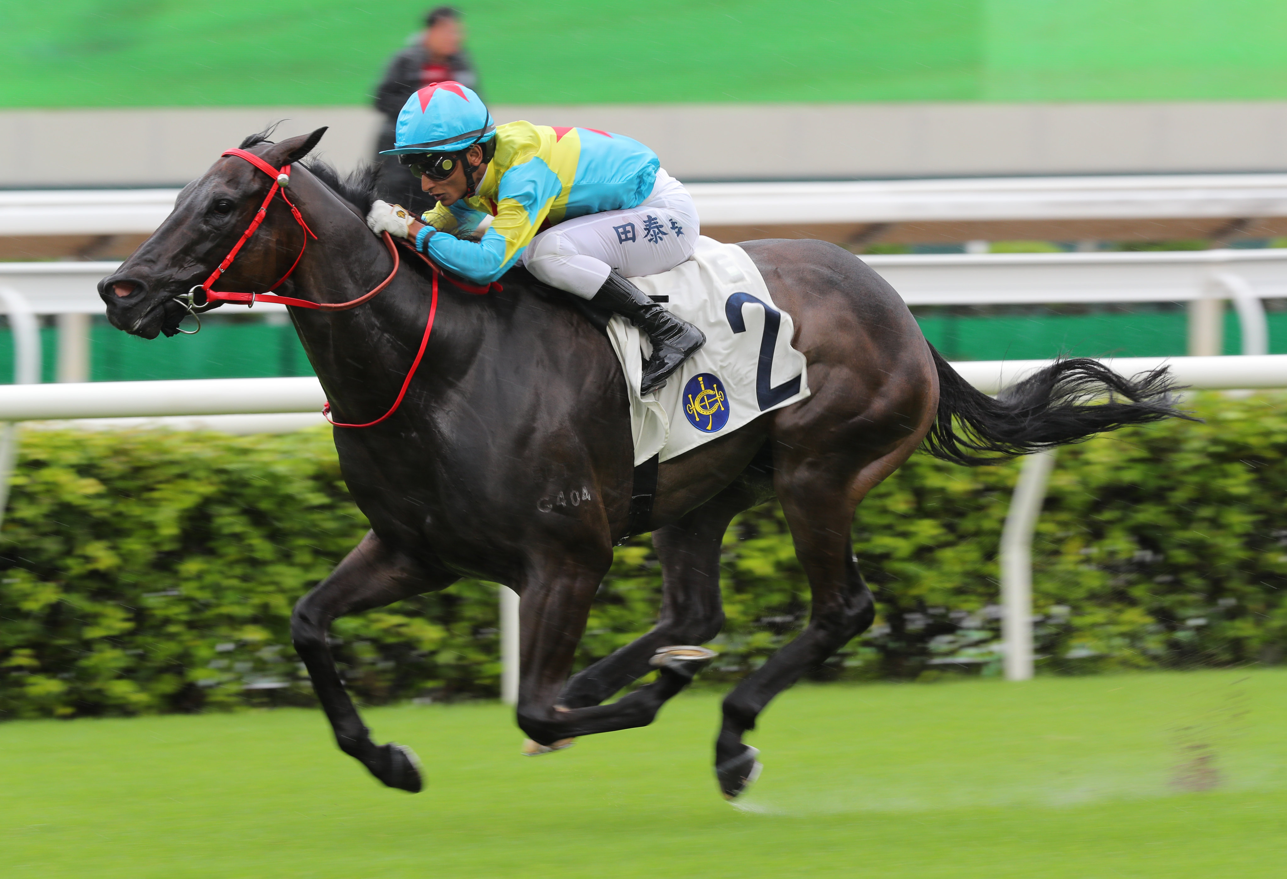 Victor The Winner takes out last season’s Class One HKSAR Chief Executive’s Cup (1,200m). Photo: Kenneth Chan