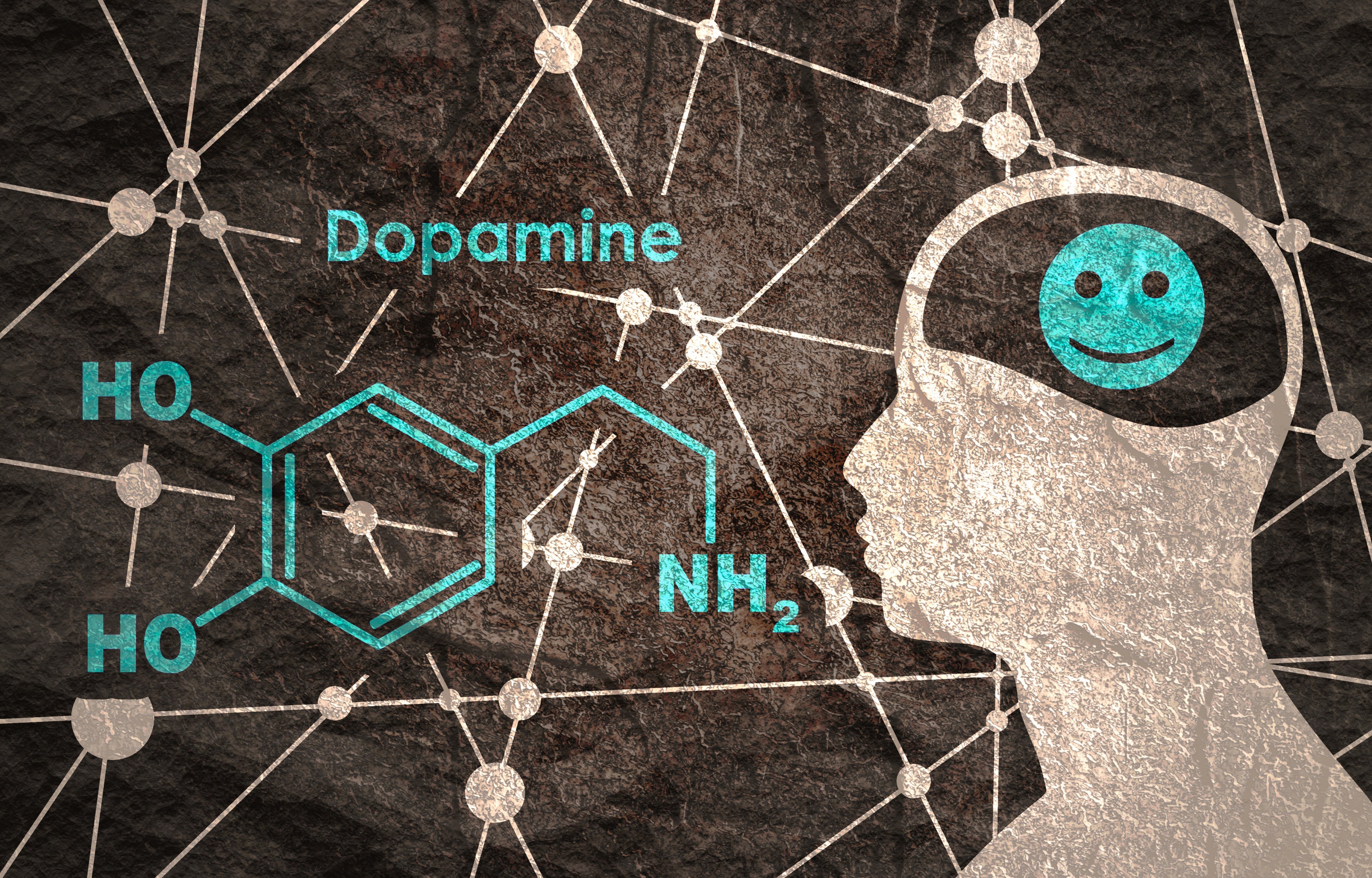 Abnormalities in dopamine levels have been linked to depression, bipolar disorder, ADHD and Parkinson’s disease. Illustration: Shutterstock