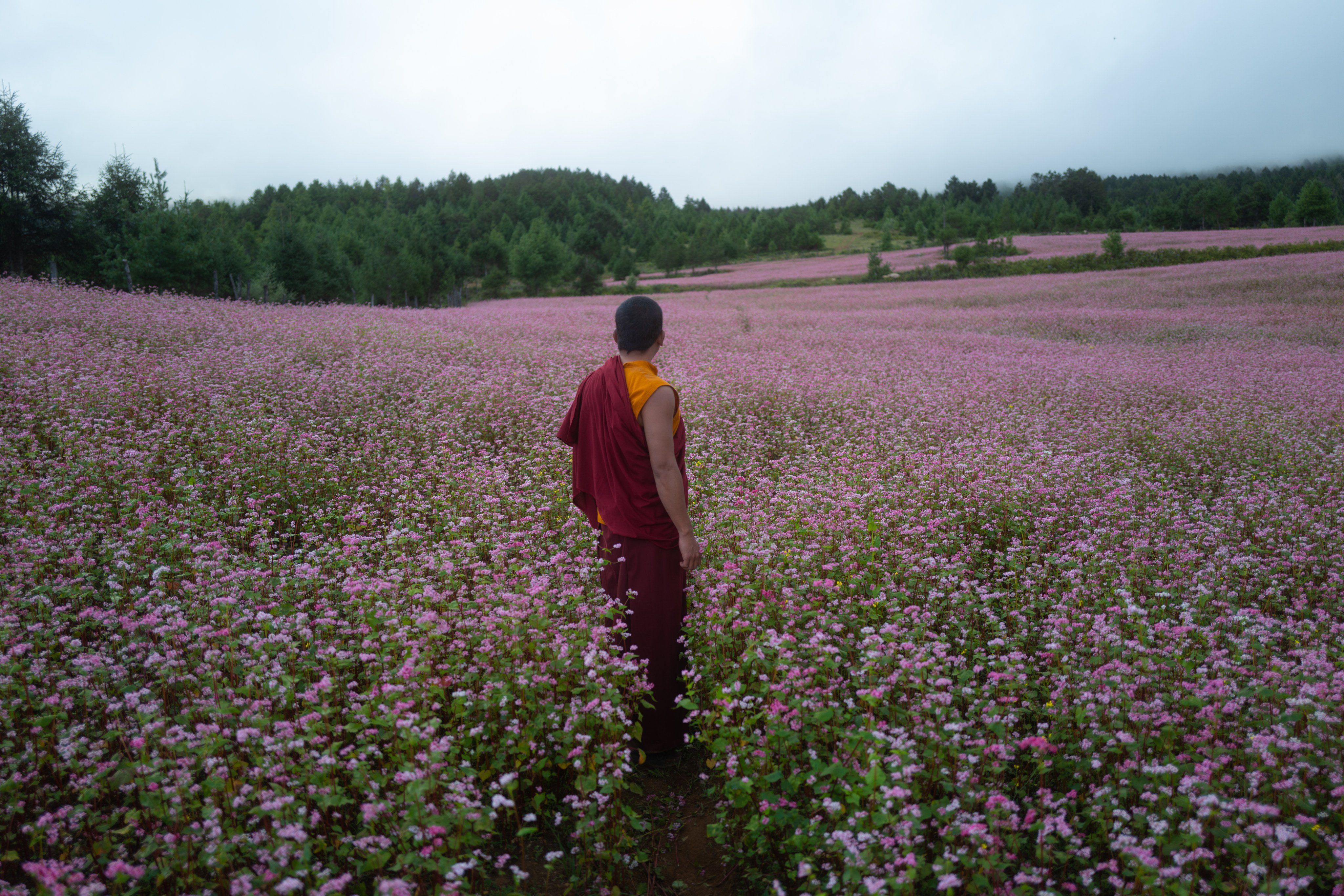 Tandin Wangchuk as Tashi in a still from The Monk and the Gun.