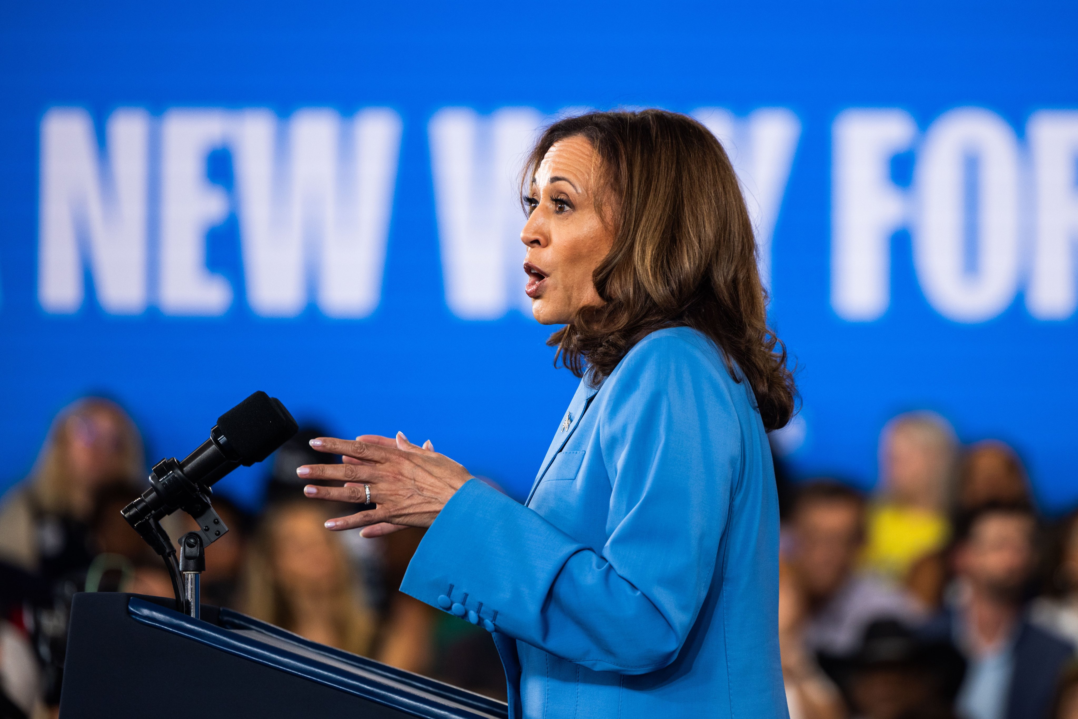 US Vice-President Kamala Harris outlines her economic plan in a speech in Raleigh, North Carolina, on August 16. Photo: EPA-EFE