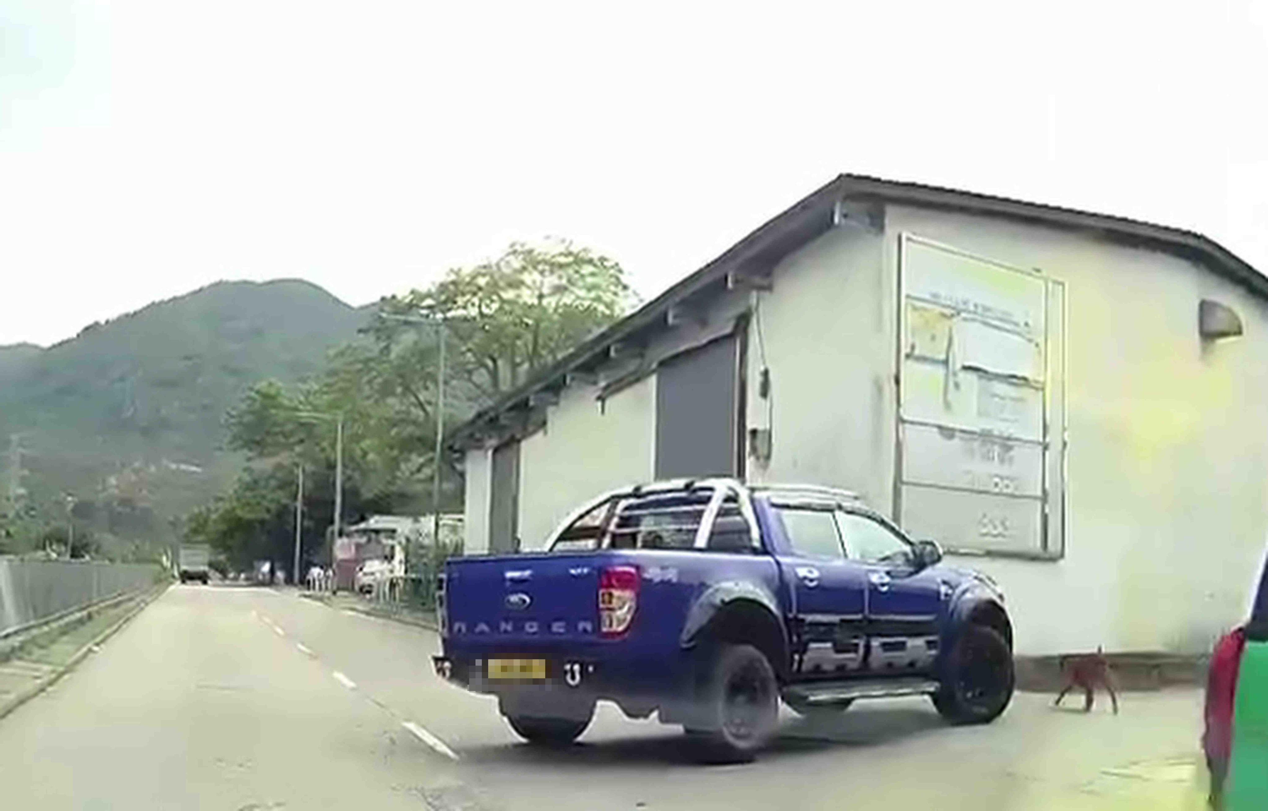 A 24-second car camera video shows a blue pickup truck strike a dog before turning into a side street. Photo: SCMPOST