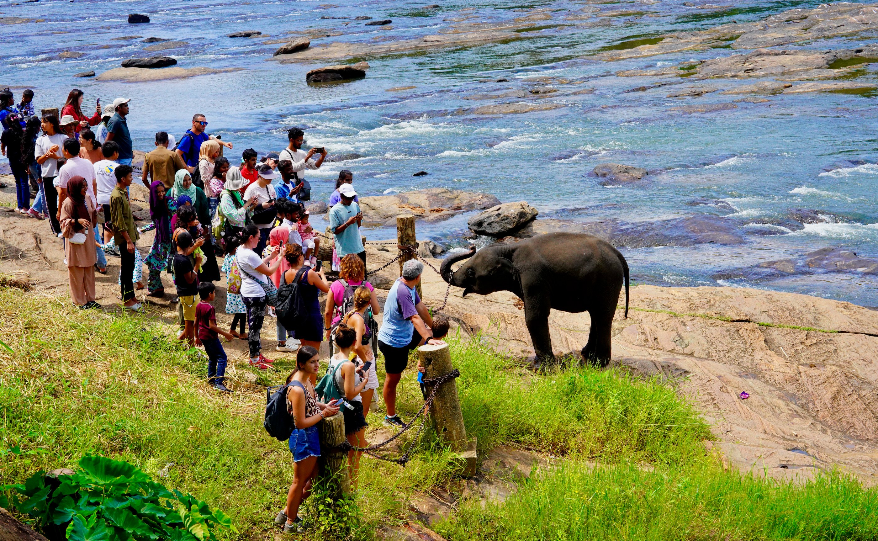 Tourists visit an elephant park in Sri Lanka on August 11. Photo: Xinhua