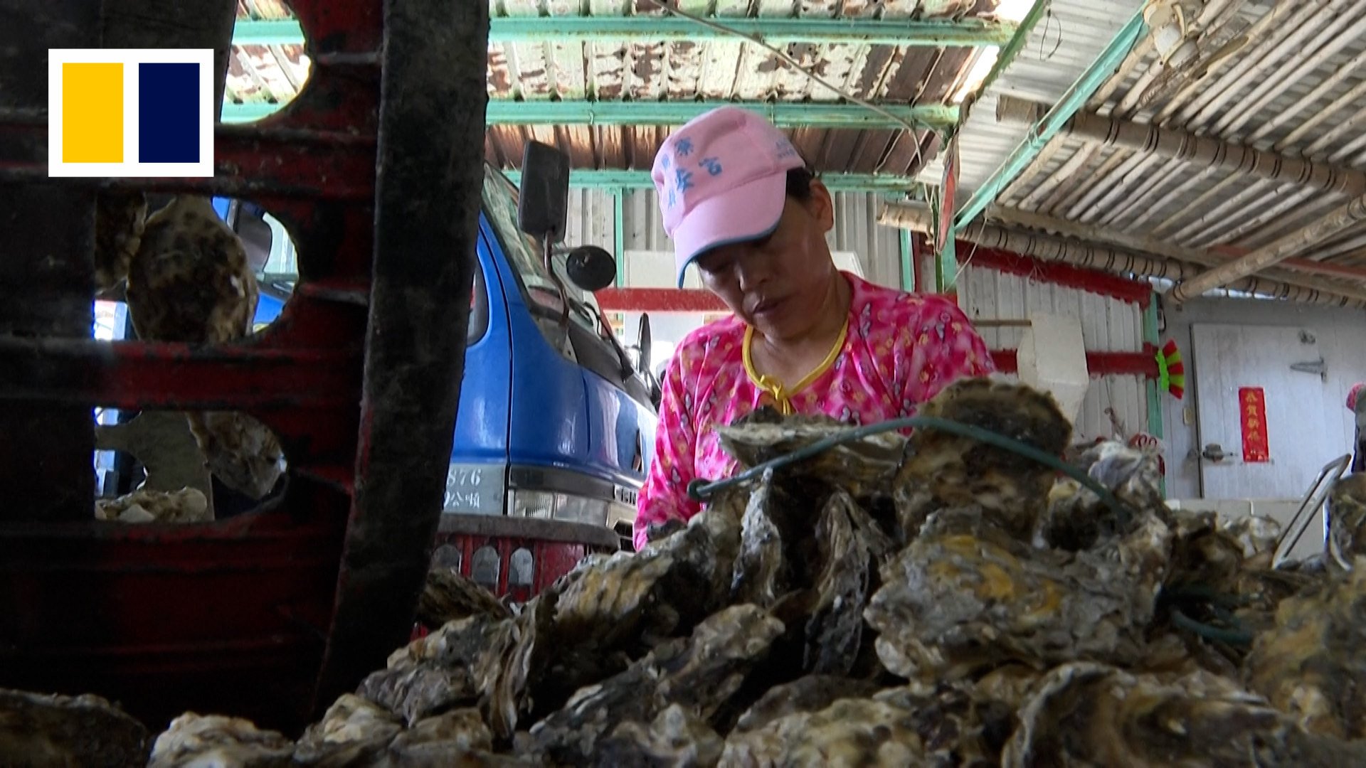 Around 160,000 tonnes of shells are discarded in Taiwan every year. Photo: AFP