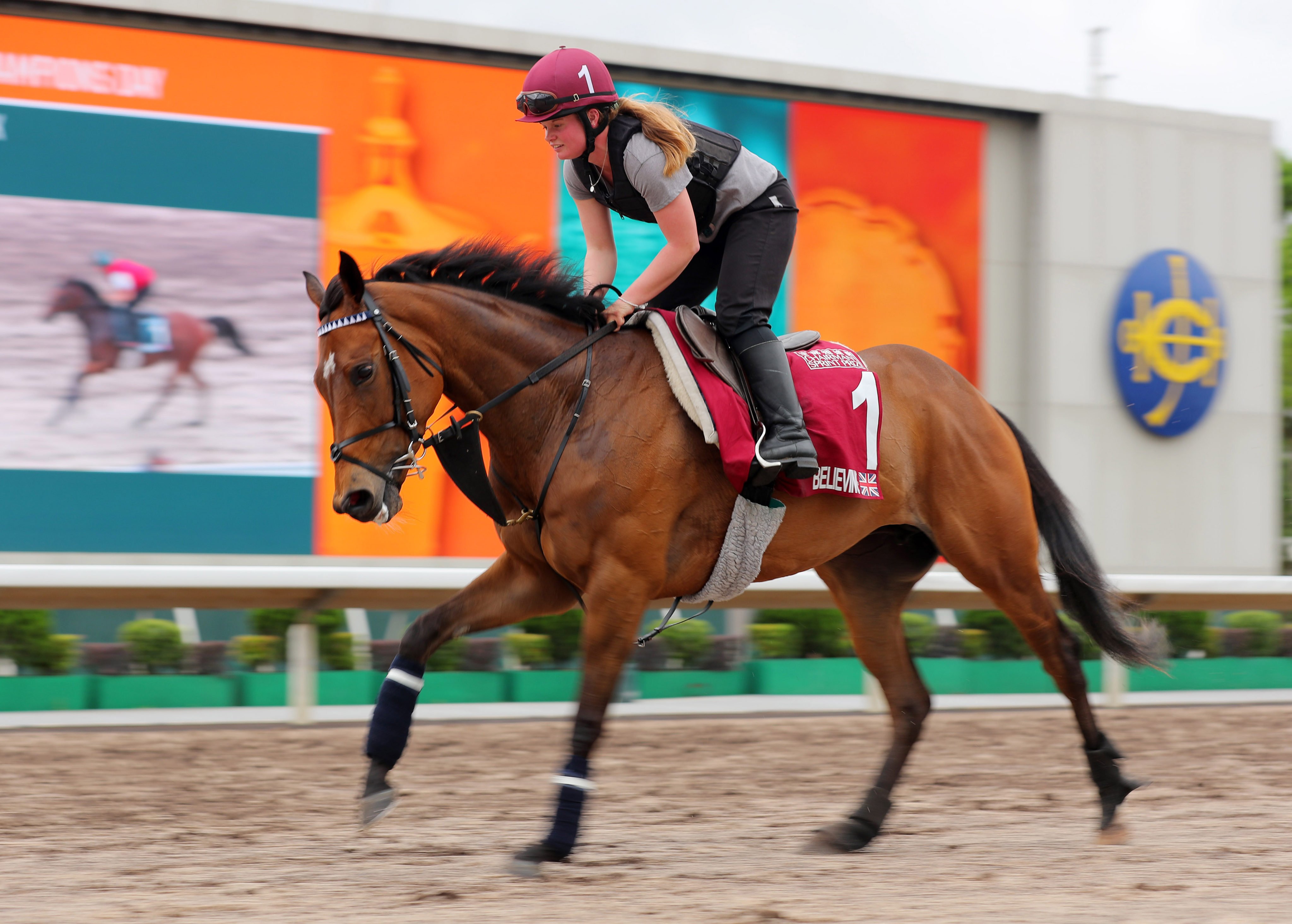 Believing gallops at Sha Tin ahead of April’s Group One Chairman’s Sprint Prize (1,200m). Photo: Kenneth Chan