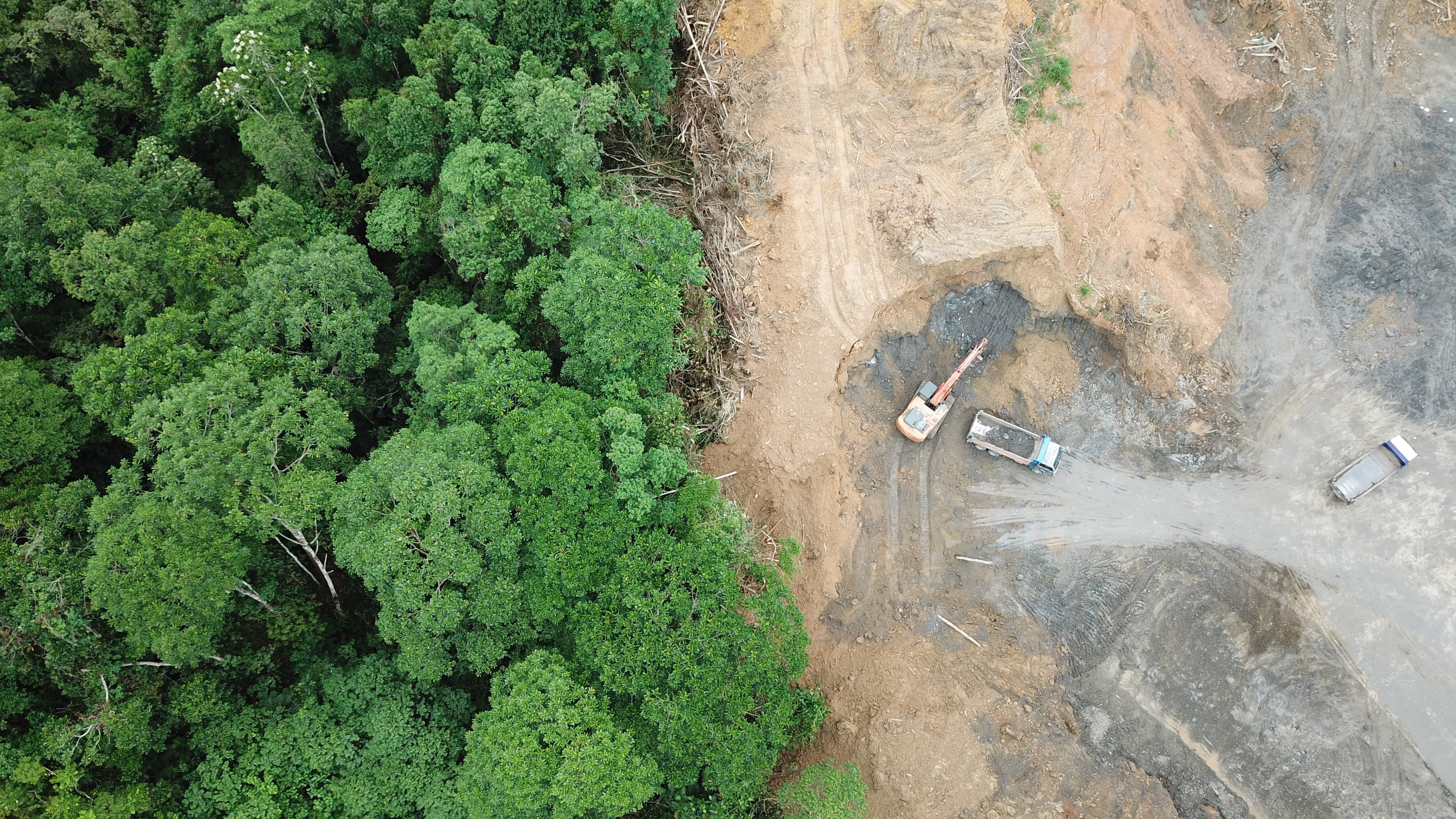 Rainforest is cleared in Malaysian Borneo. Officials from Malaysia’s Sarawak reference Singapore’s demand when discussing plans to bolster renewable generation. Photo: Shutterstock