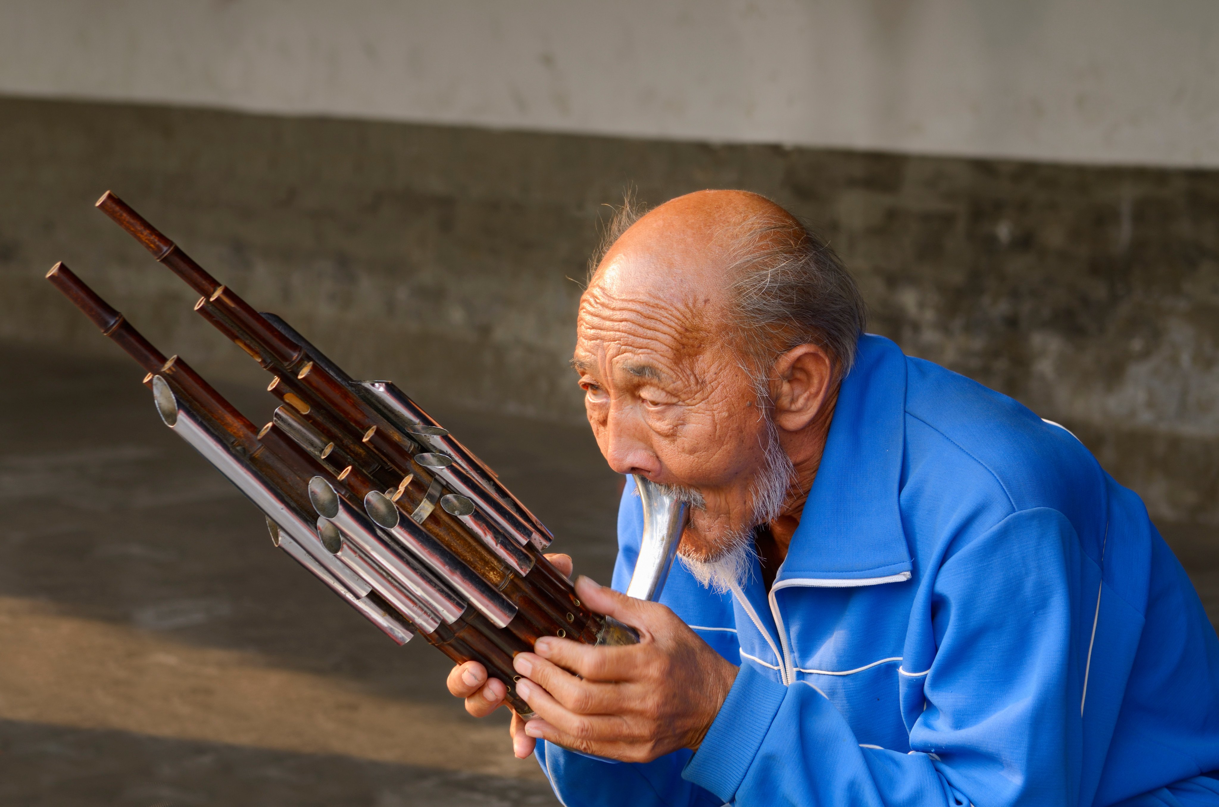 The Chinese sheng (above) is formed from a gourd and bamboo pipes. Photo: Shutterstock