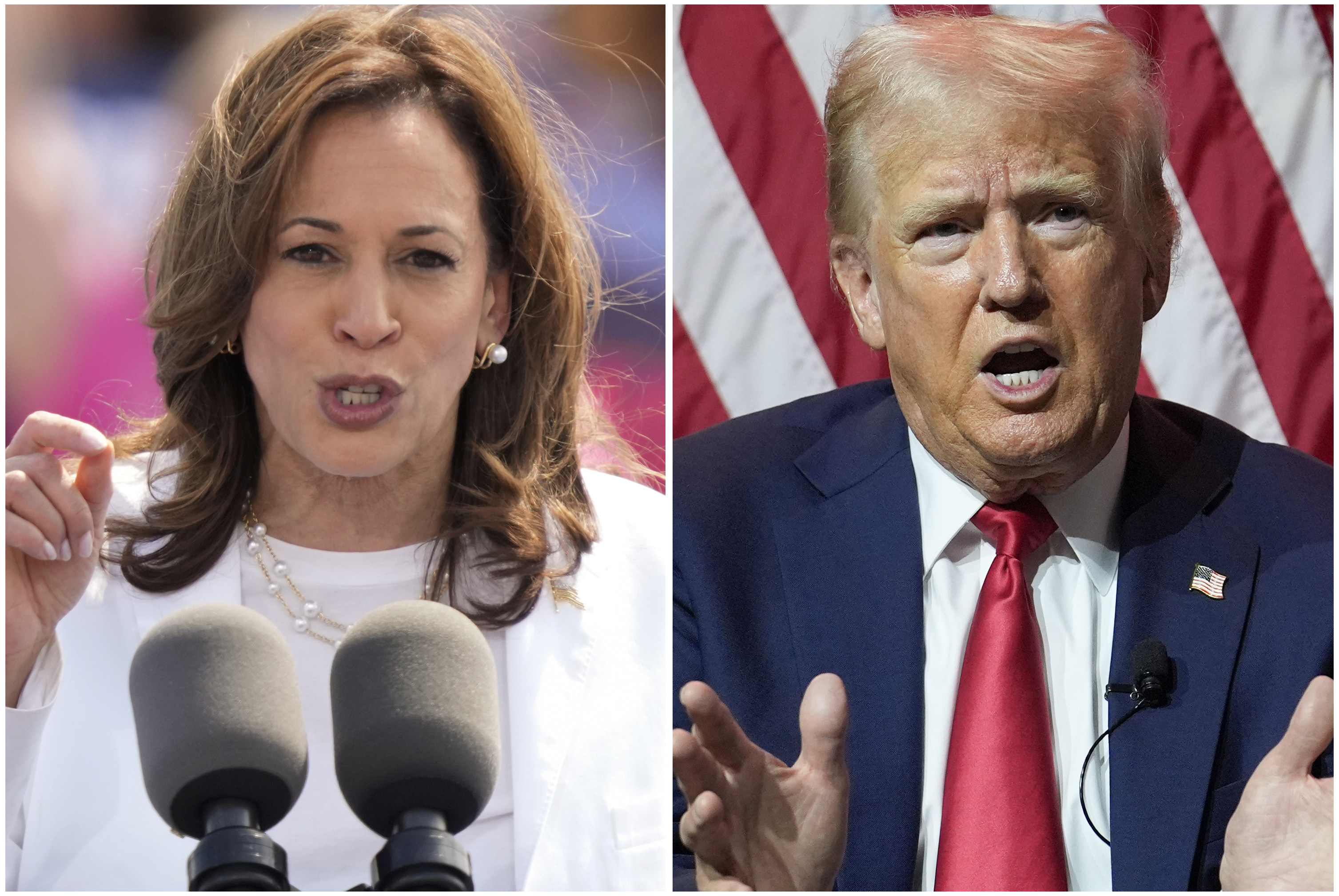 US Vice-President Kamala Harris is leading Donald Trump in polling. Photo: AP