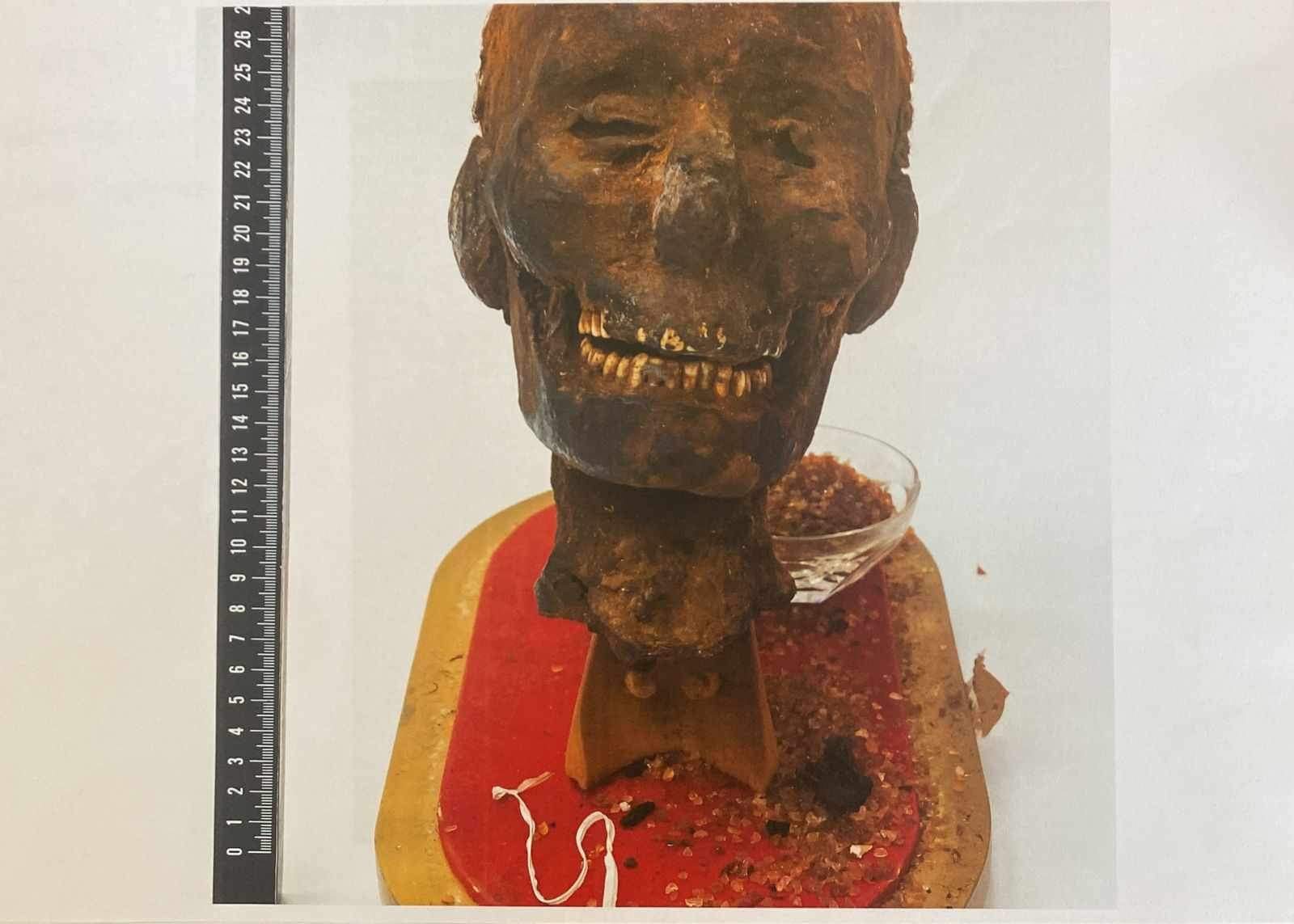 A head of a mummy retrieved from the Netherlands by Egypt. Photo: Egyptian Ministry of Tourism and Antiquities via Xinhua