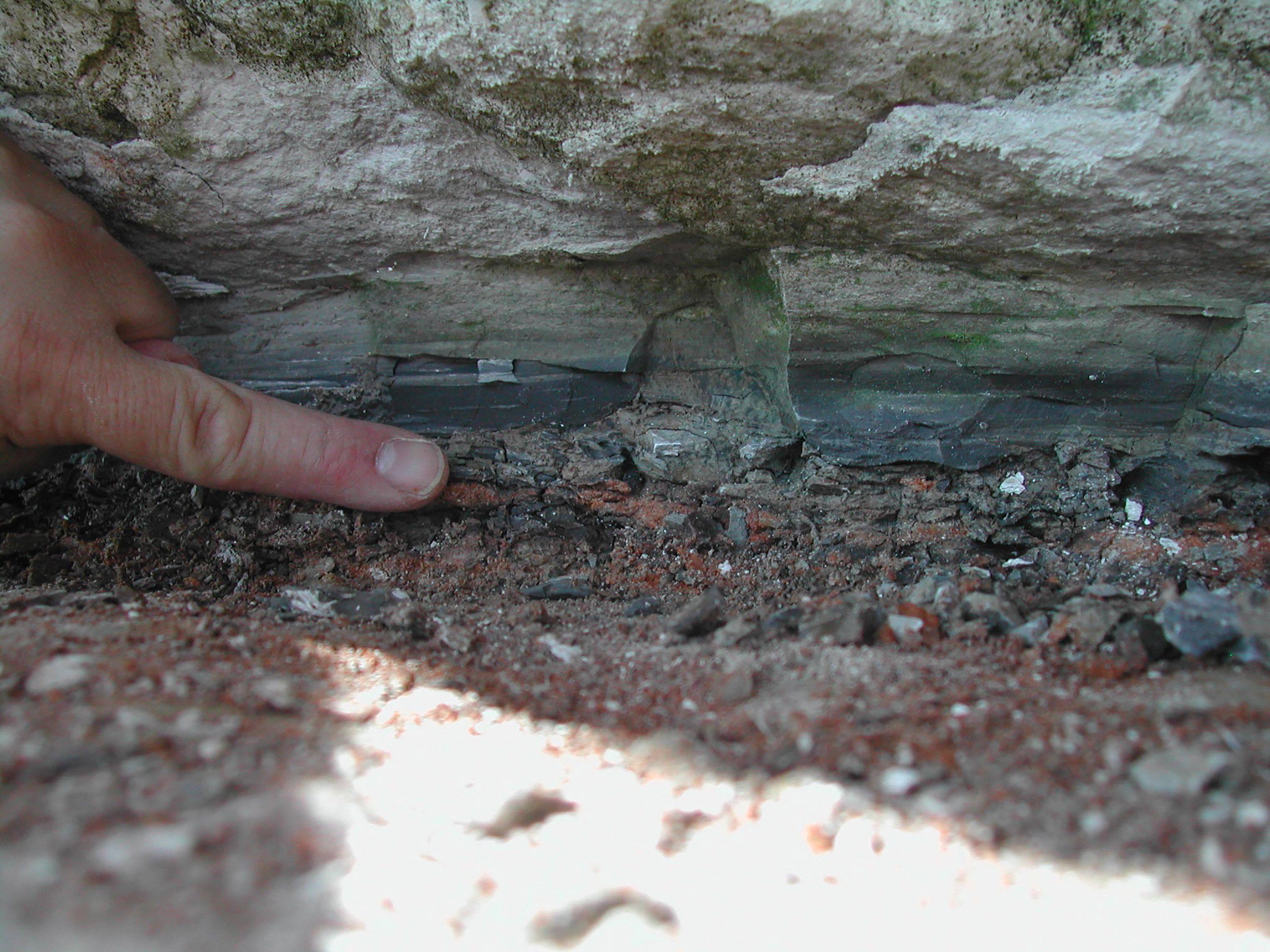 The 66-million-year-old boundary layer in Denmark contains the fallout produced by the asteroid that caused the extinction of the dinosaurs. 
Photo: AFP / EUREKALERT / Philippe Claeys