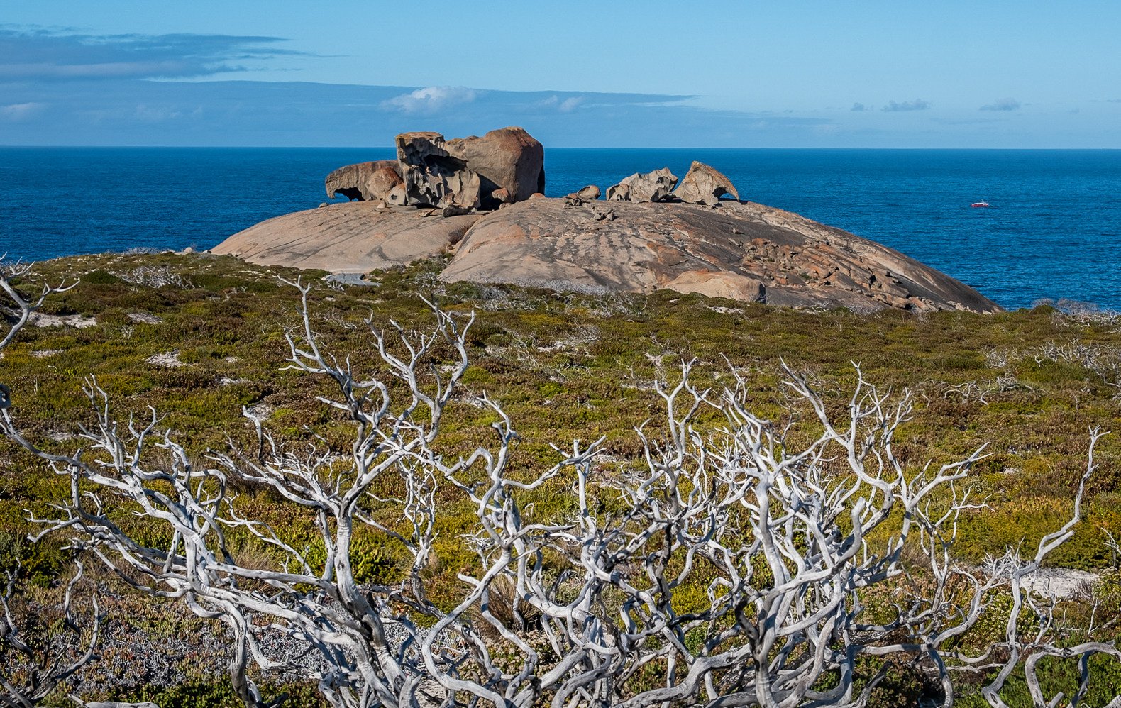 Kangaroo Island’s Remarkable Rocks with fire damaged trees in the foreground, a reminder of the terrible fires of 2020. Photo: Carolyn Beasley