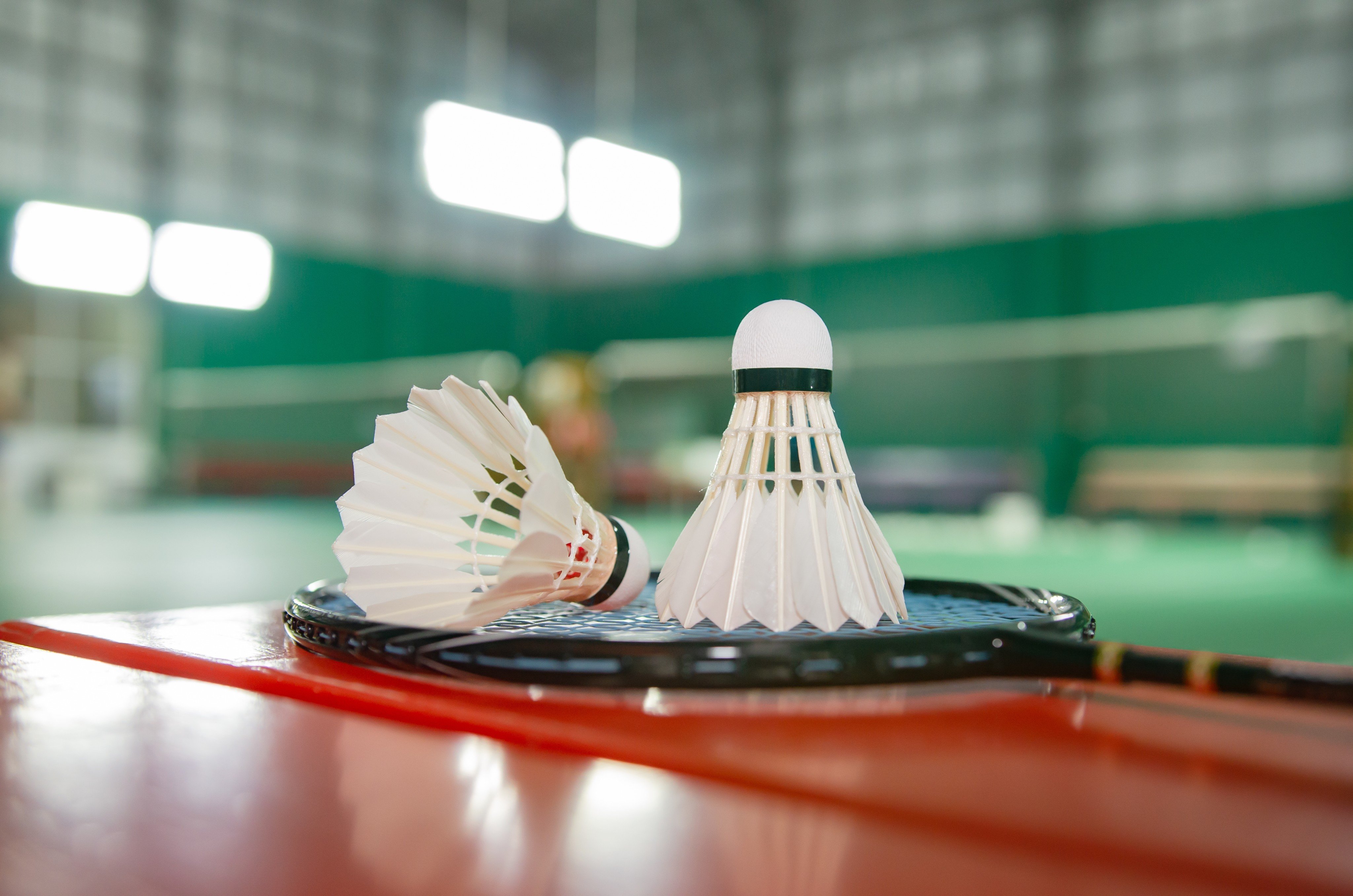 The Hong Kong government has recommended  teens “play badminton” when experiencing sexual impulses. Photo: Shutterstock