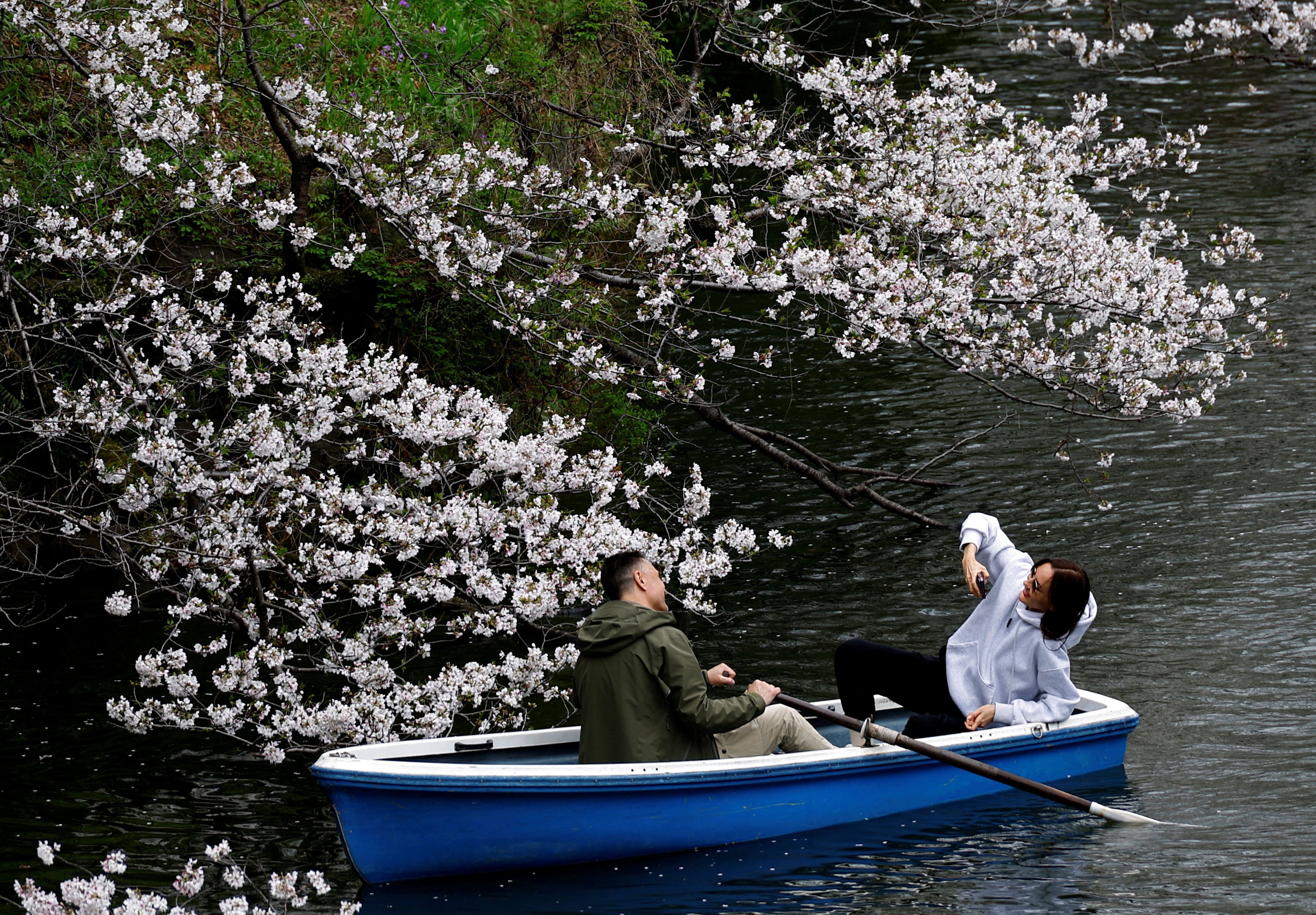 Tourists ride a boat at Chidorigafuchi Park in Tokyo. Photo: Reuters 