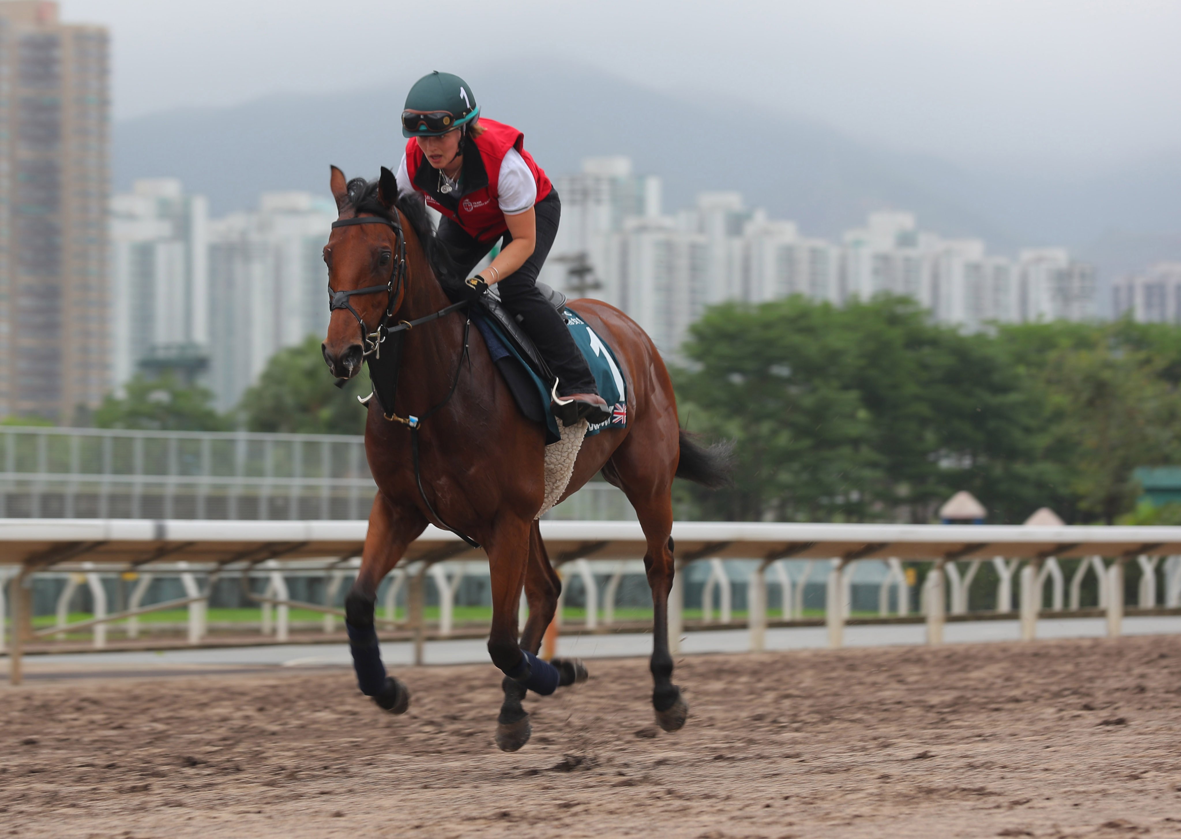 Dubai Honour gallops on the all weather track at Sha Tin in April. Photo: Kenneth Chan